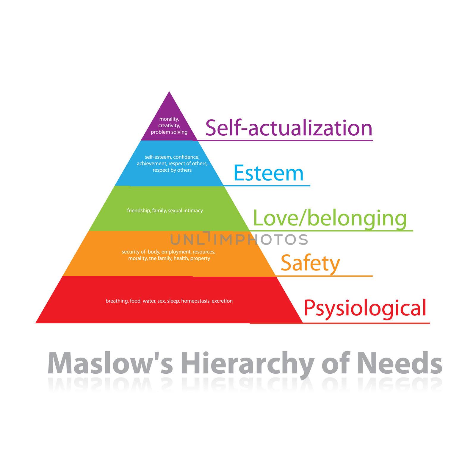 Maslow's pyramid of needs - analysis of human needs and position them in a hierarchy. Psychology. Illustration. Vector.