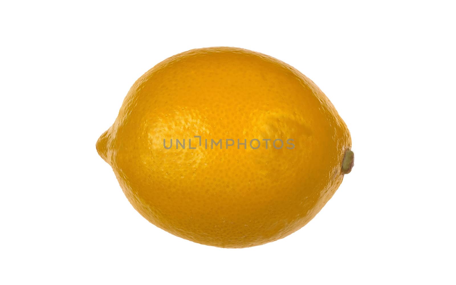 Isolated Lemon by Baltus