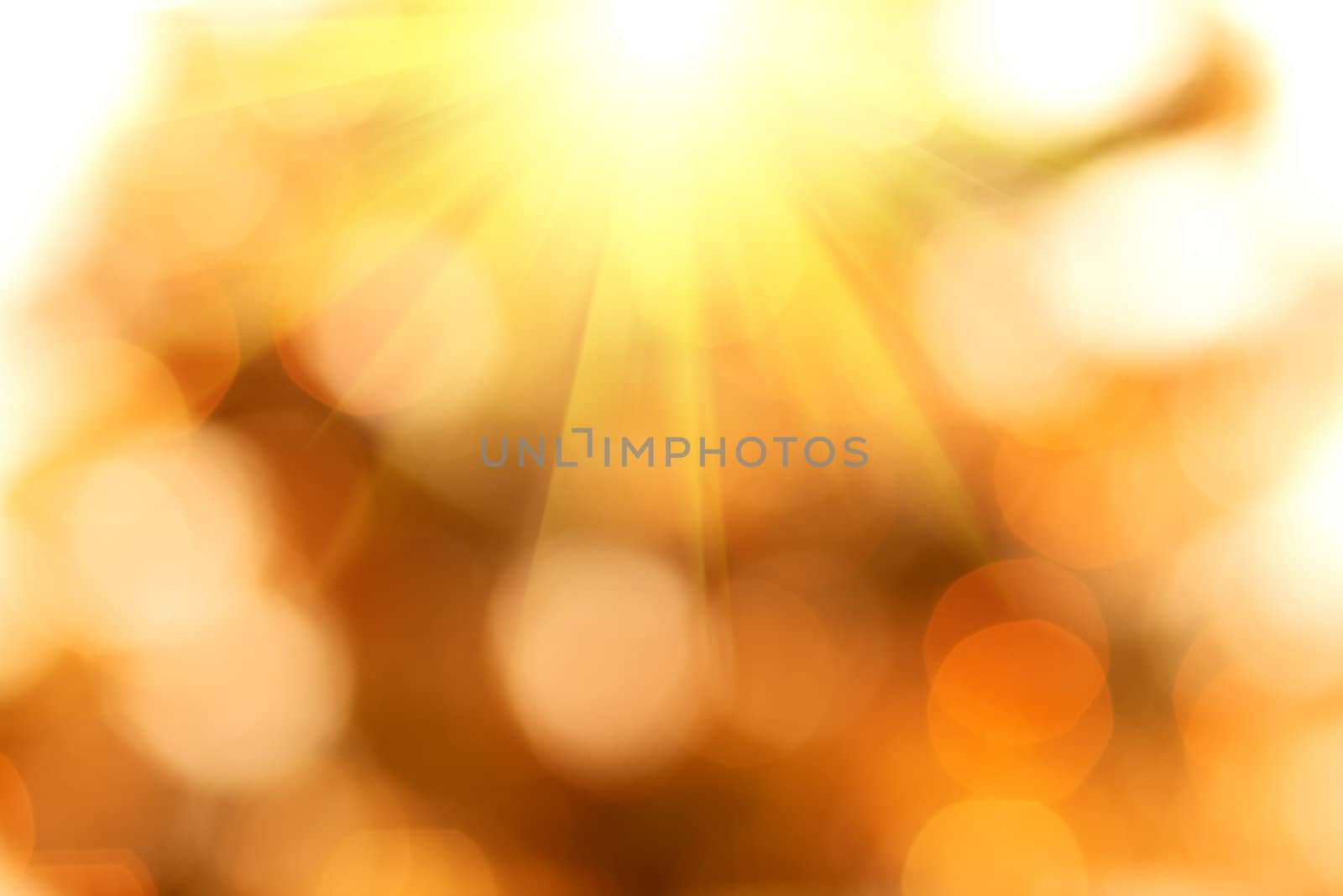 natural bokeh with sun for background or backdrop