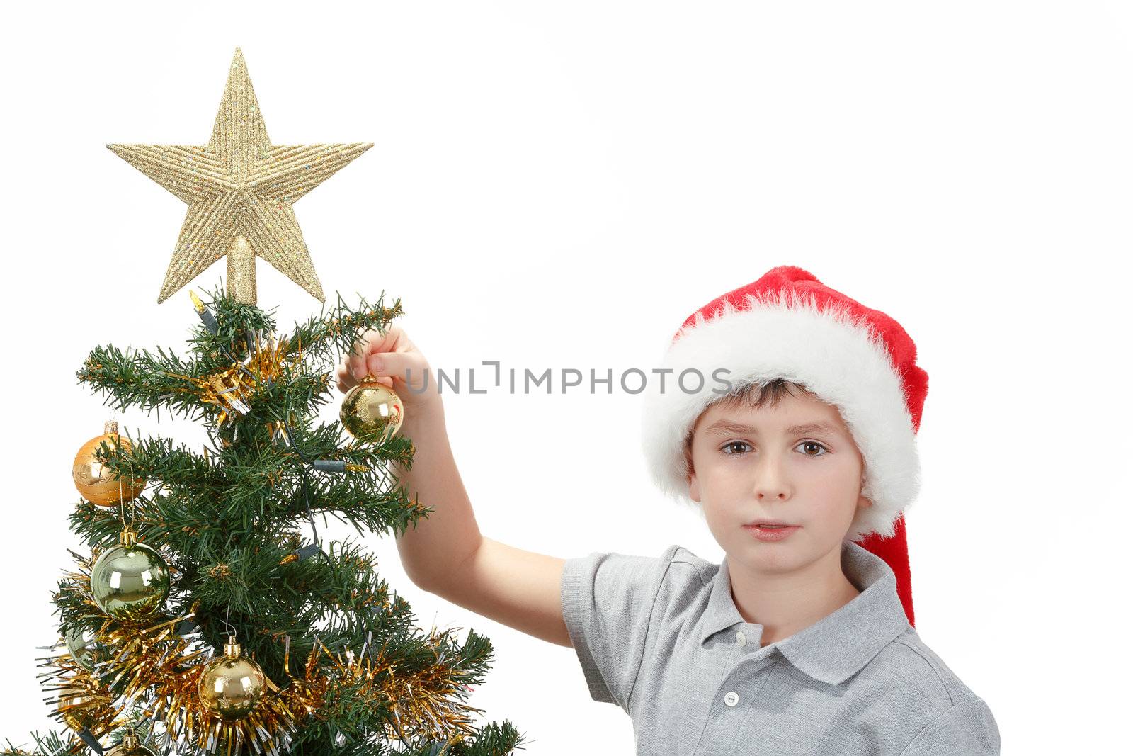 Boy with santa hat decorates the Christmas tree on white background