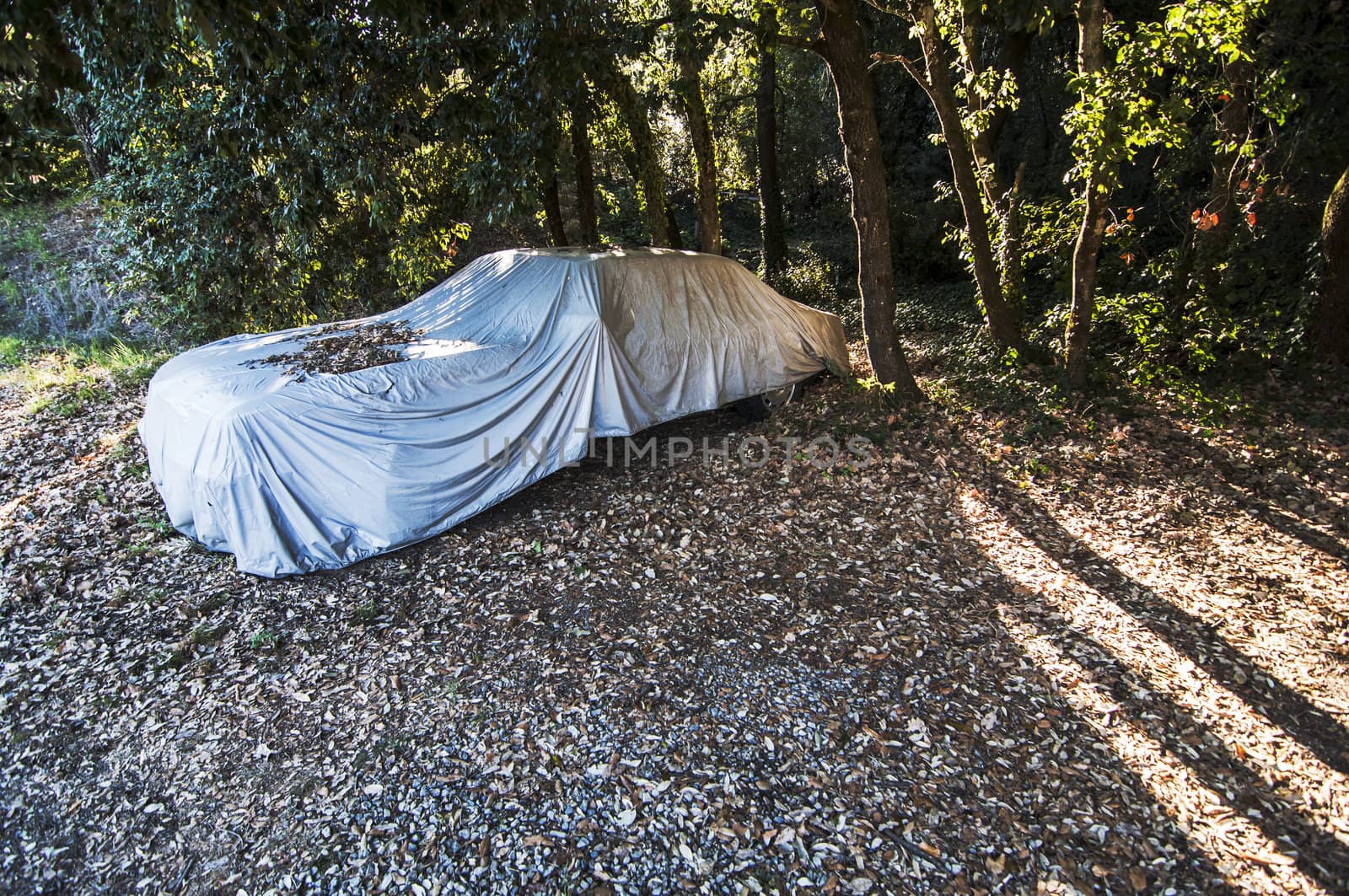 mysterious covered car in a forest