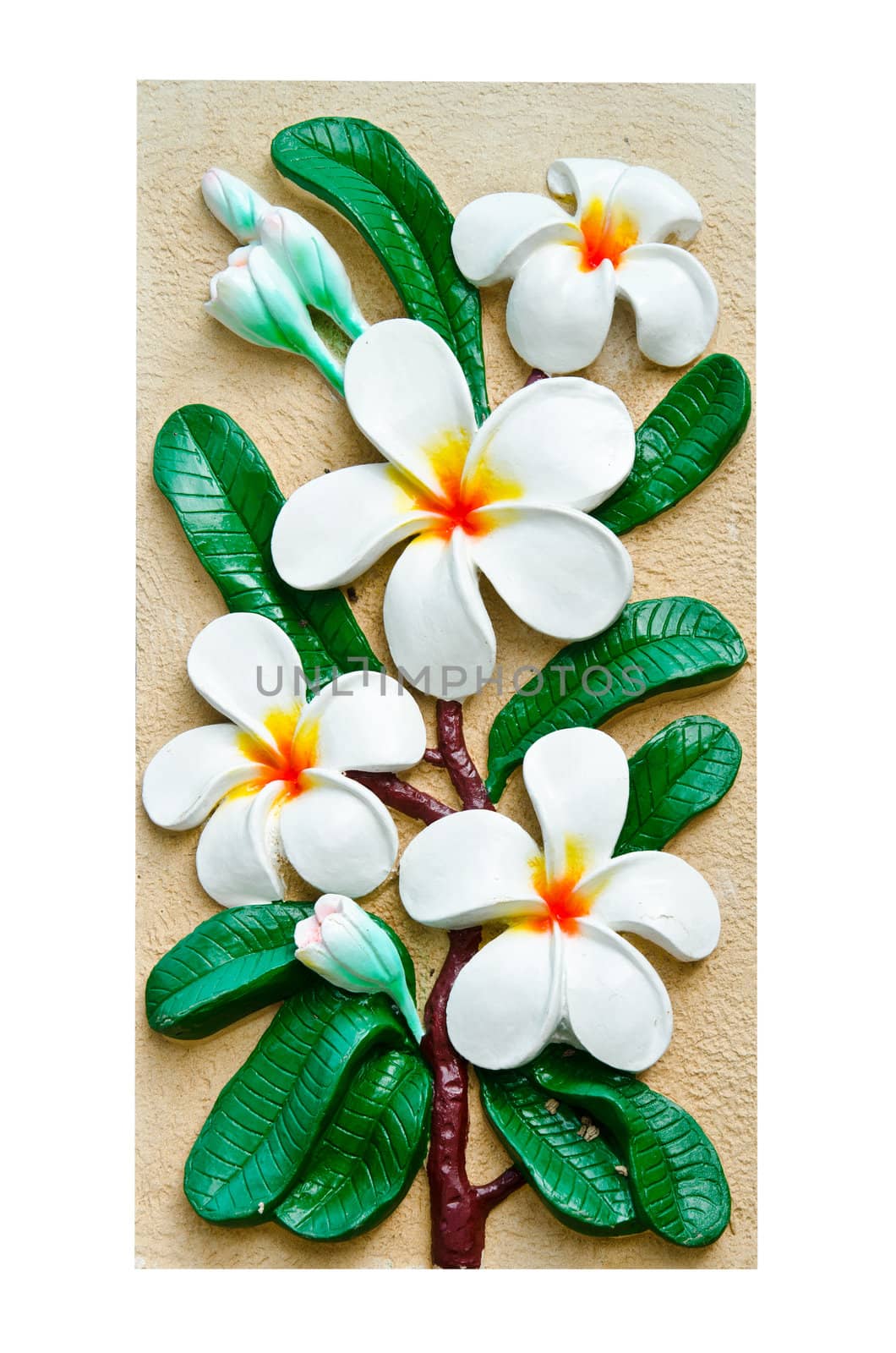 Stucco images of frangipani flowers. by chatchai