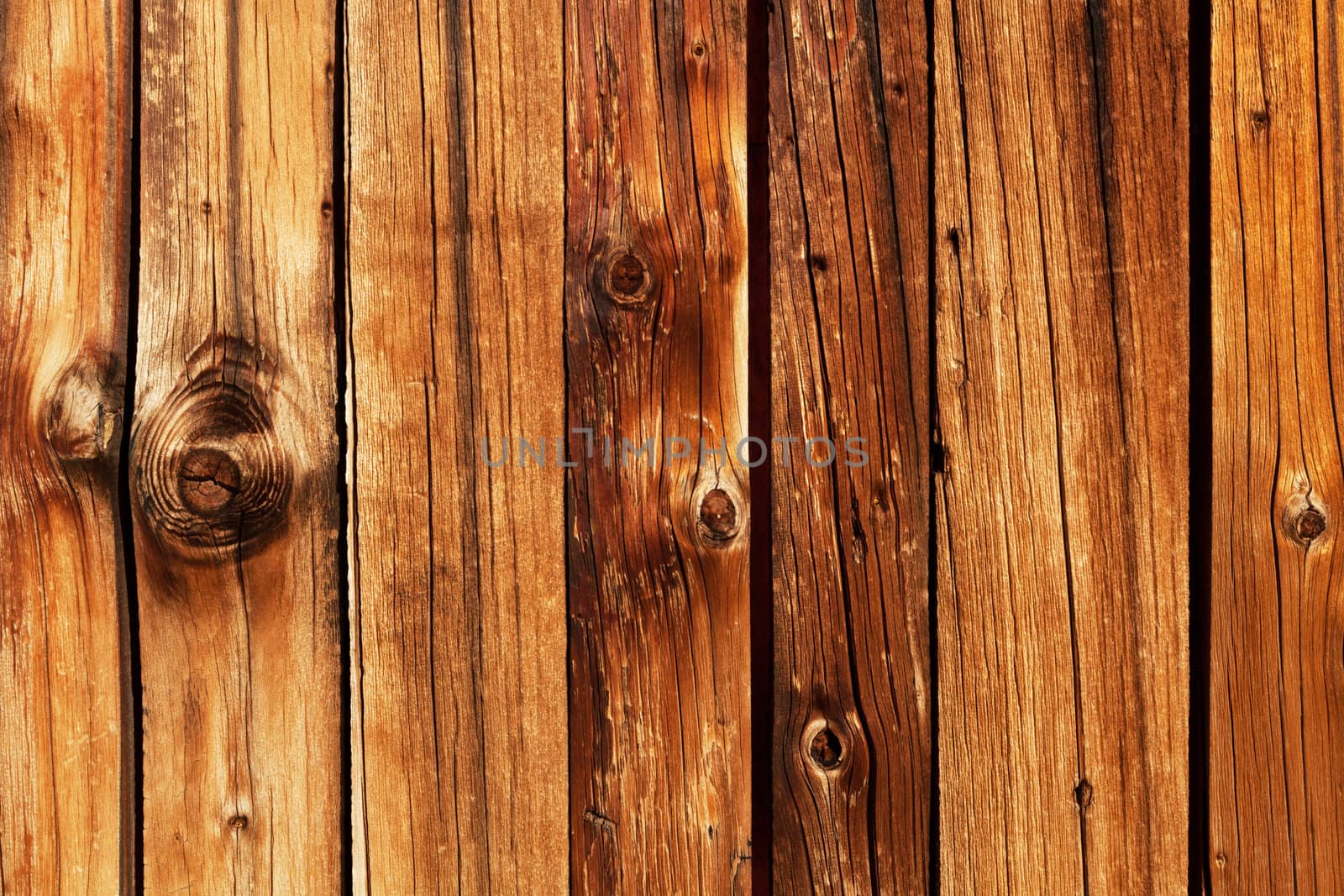 Natural wood warm brown texture