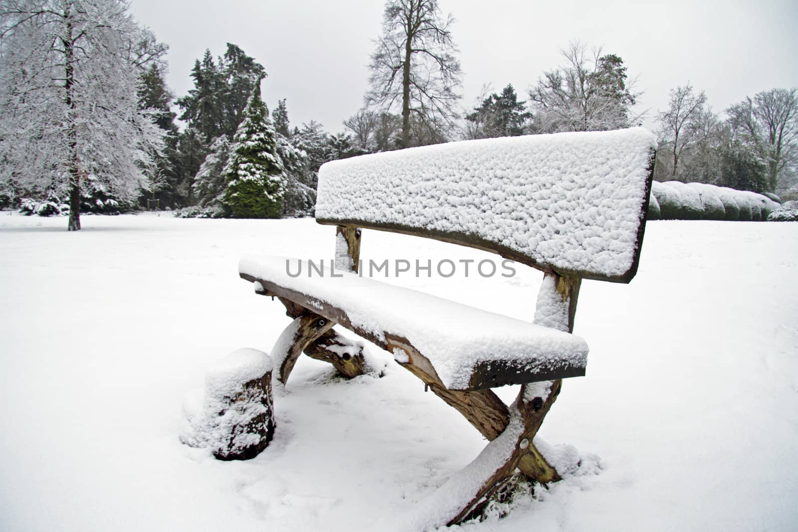 Snowy bench in the forest  by devy