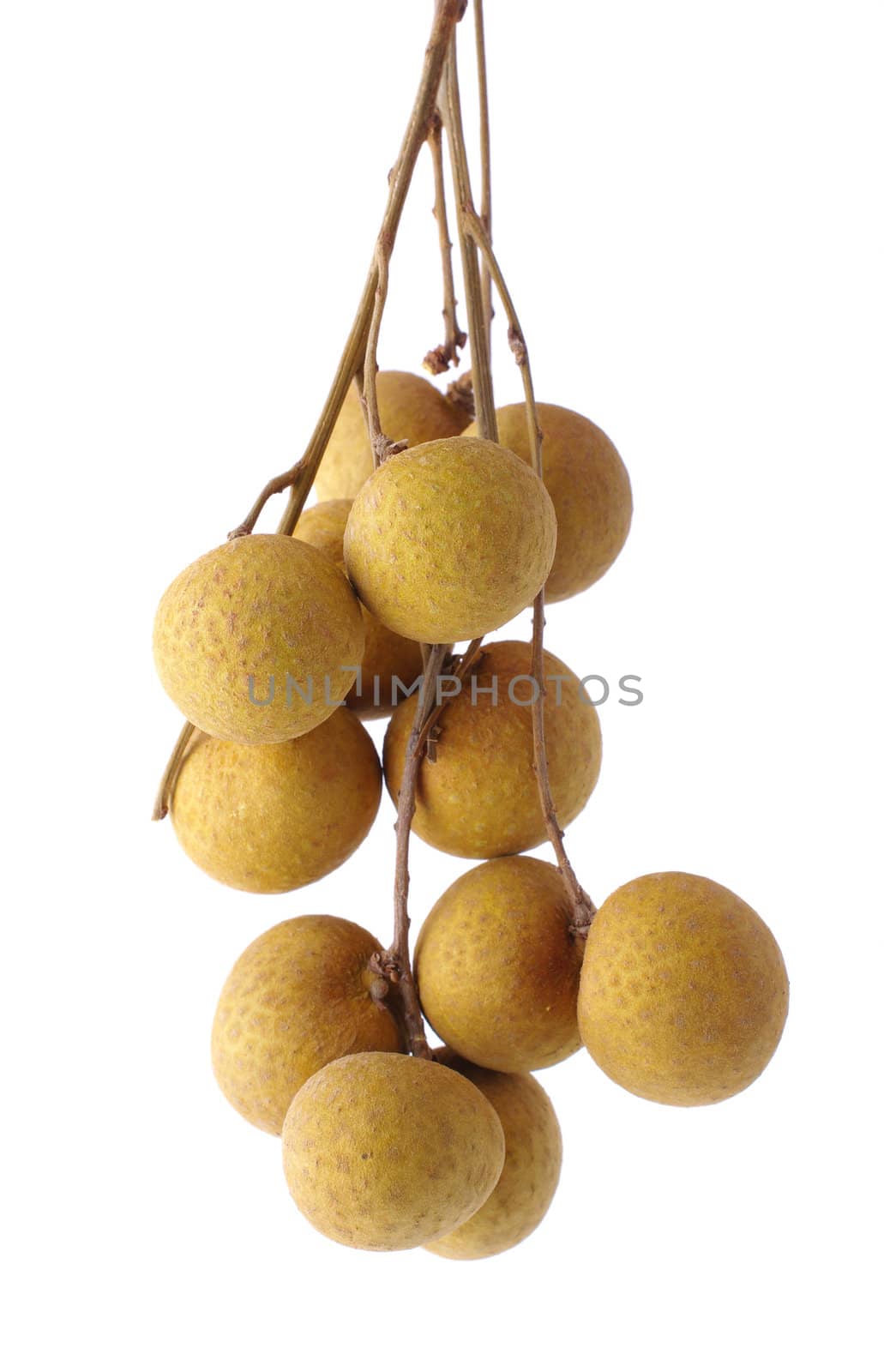 Fresh longan on the white background 