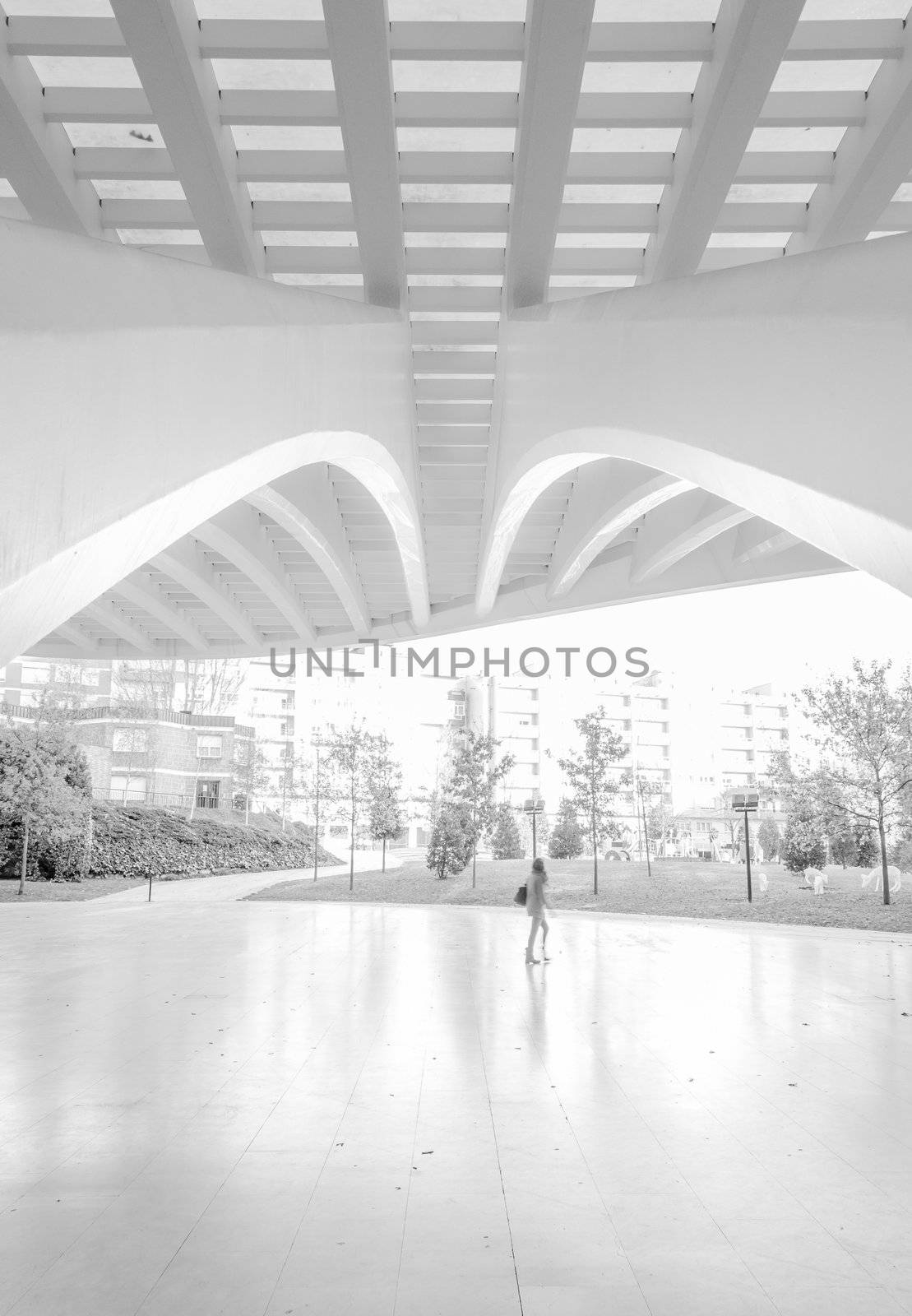 Arquitecture detail of conference and exhibition centre Ciudad de Oviedo in Asturias, Spain, on December 03, 2012. The modern center was designed by spanish architect Santiago Calatrava, and inagurated in May 2011