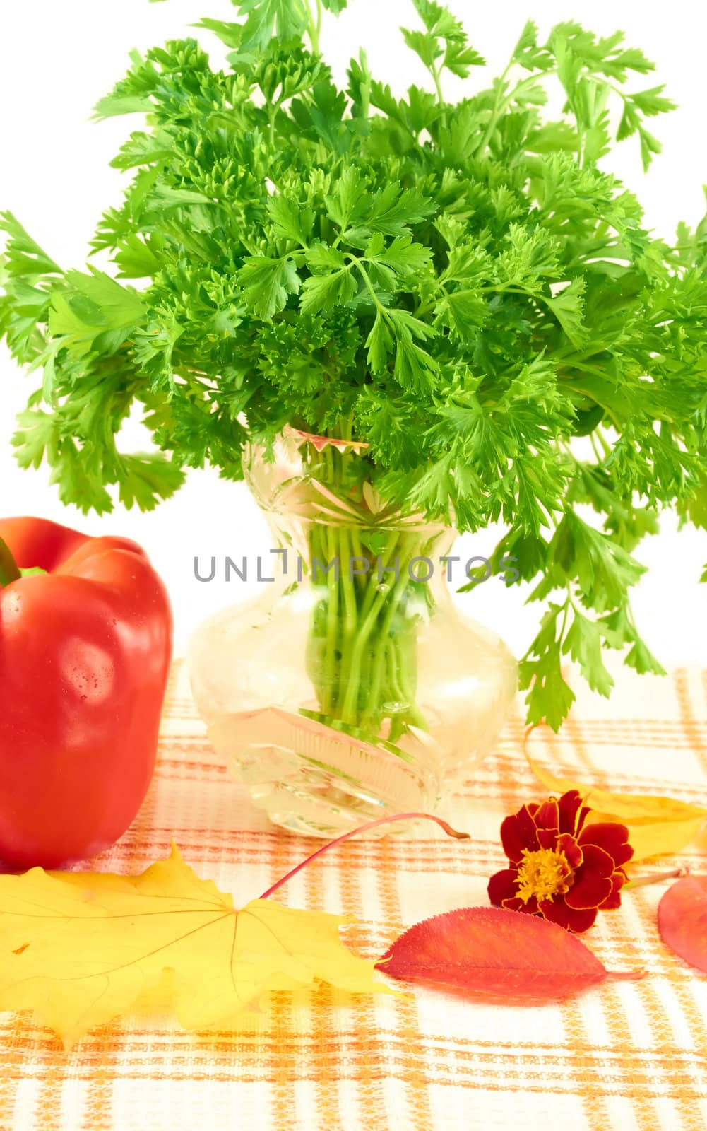 A bunch of parsley in vaze, red pepper, autumn leaves and flower on the tablecloth