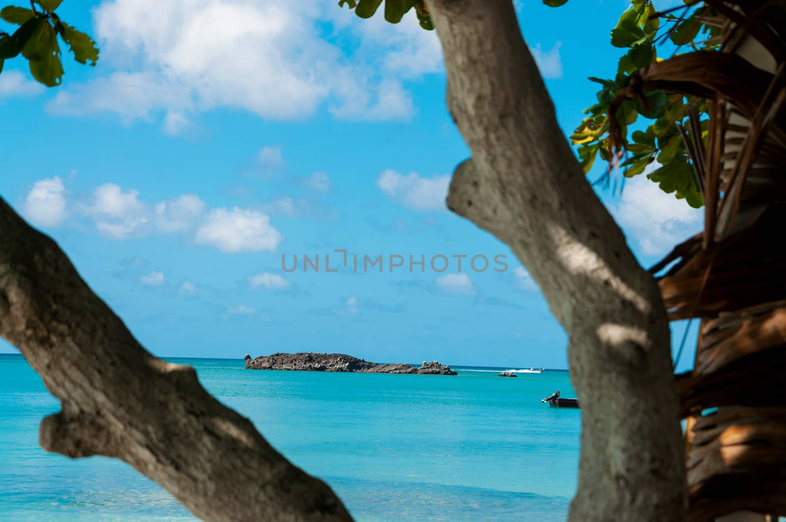 Island in turquoise water framed by tree in San Andres y Providencia, Colombia