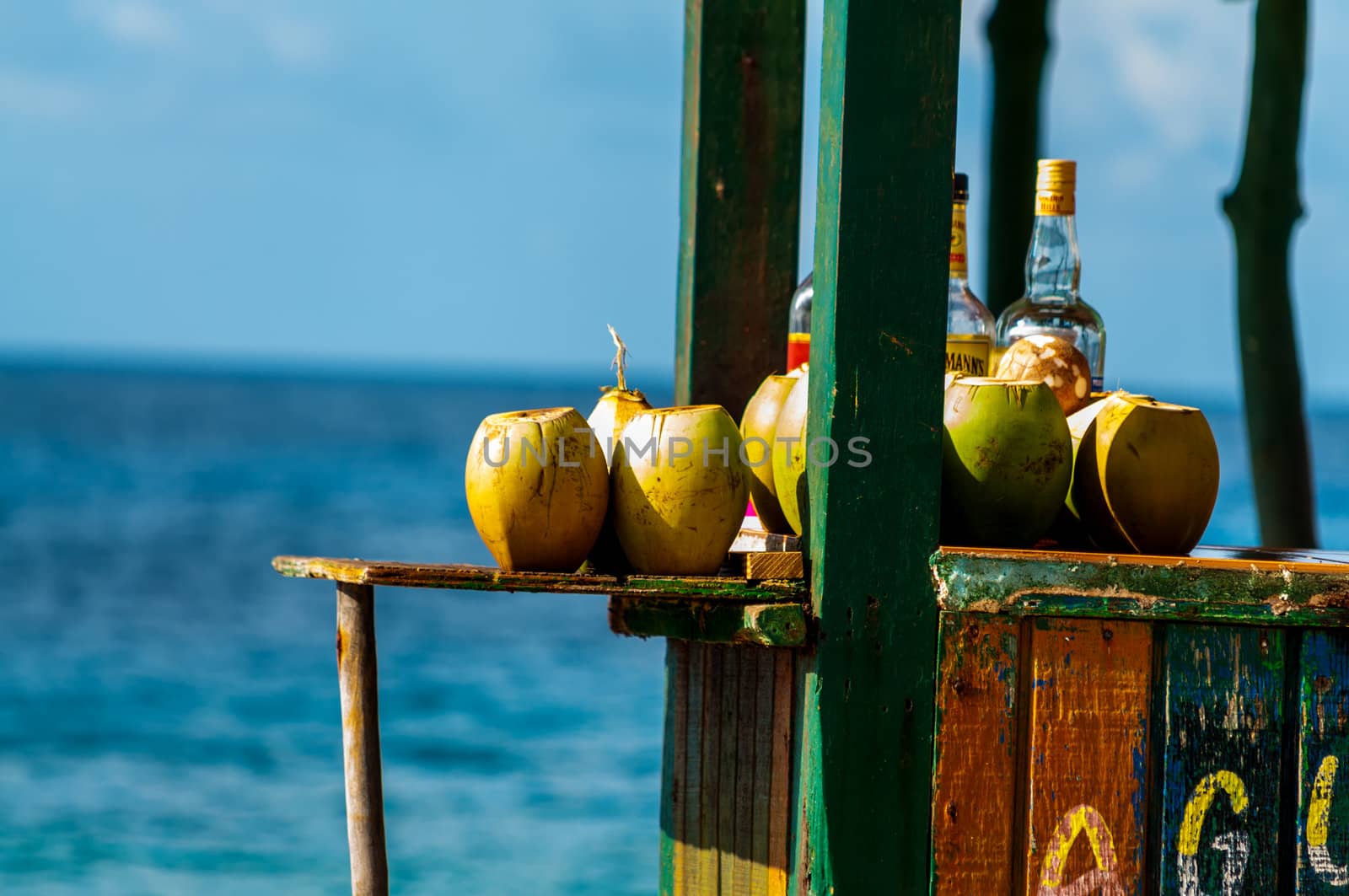 Coconuts to be used to serve cocktails in San Andres, Colombia