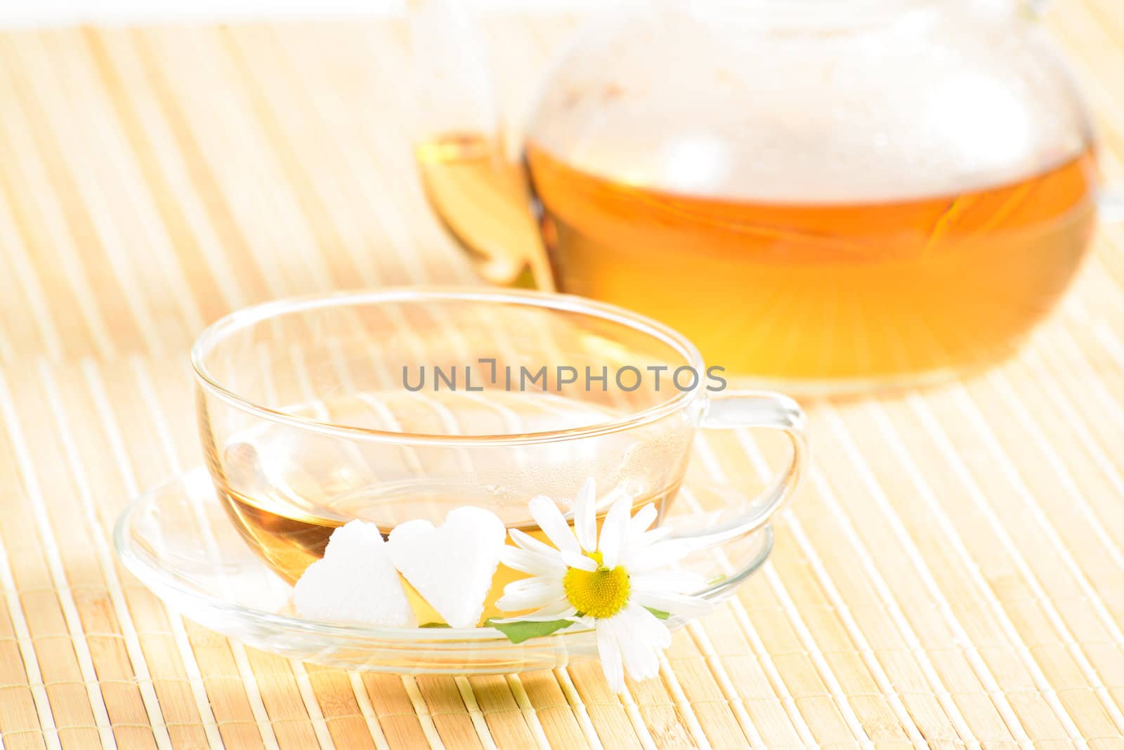 A teacup and a teapot with herbal chamomile tea