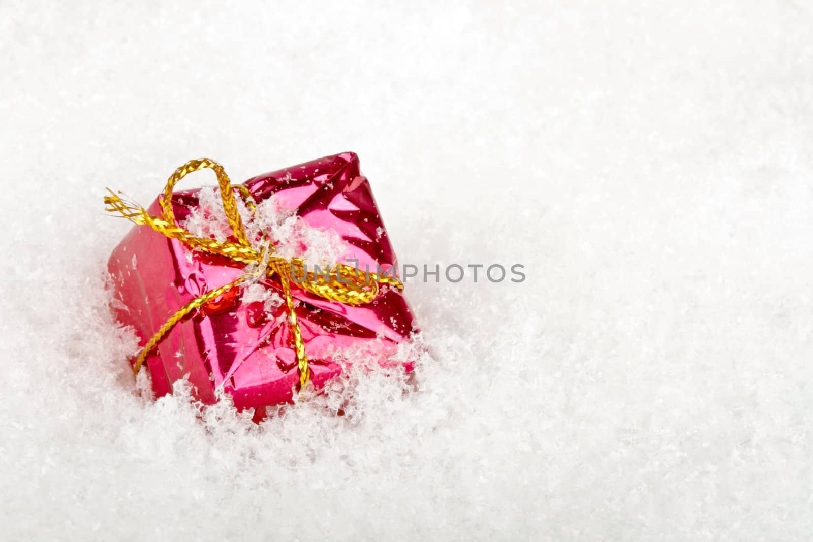 Christmas present in the snow