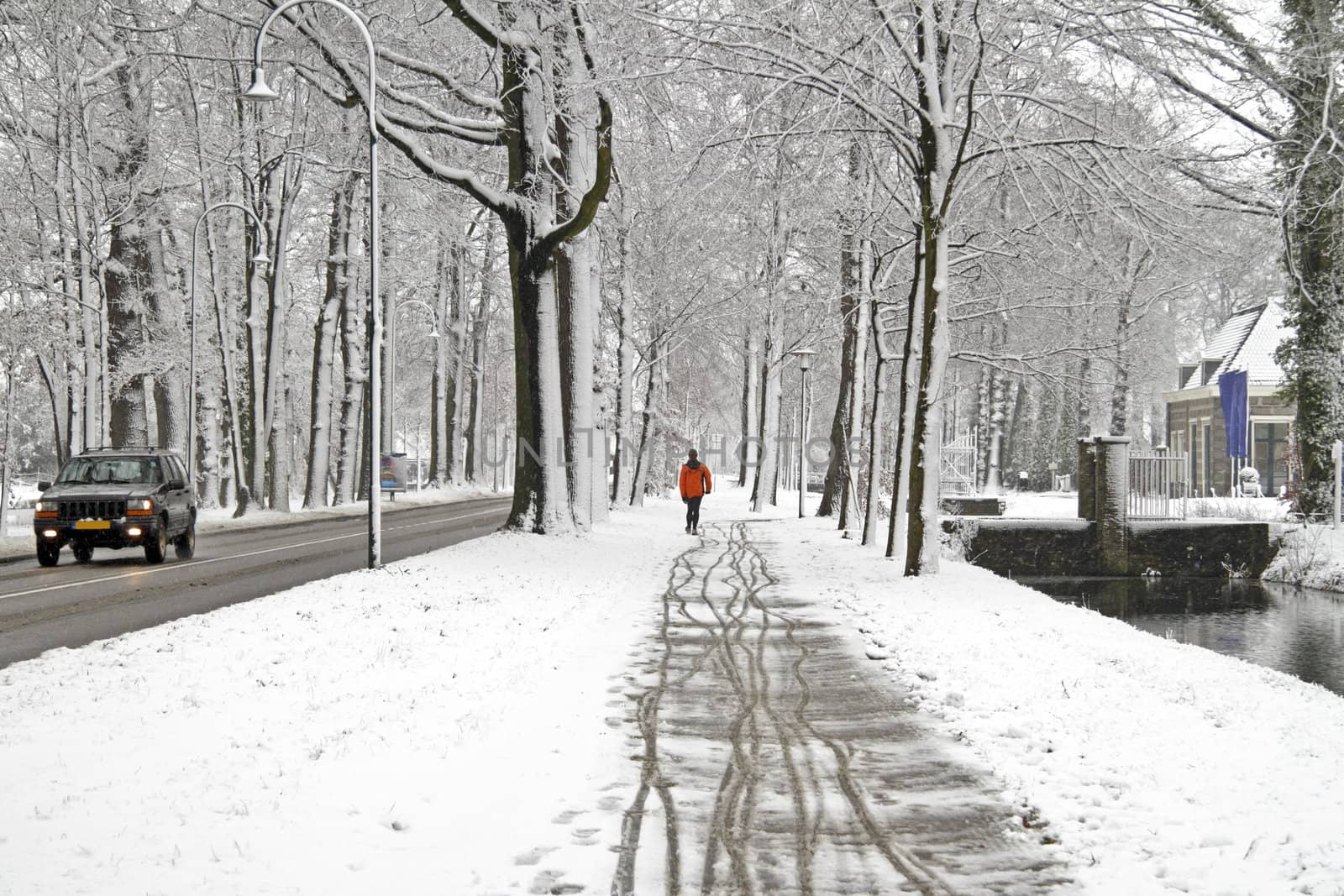 Winter in the Netherlands