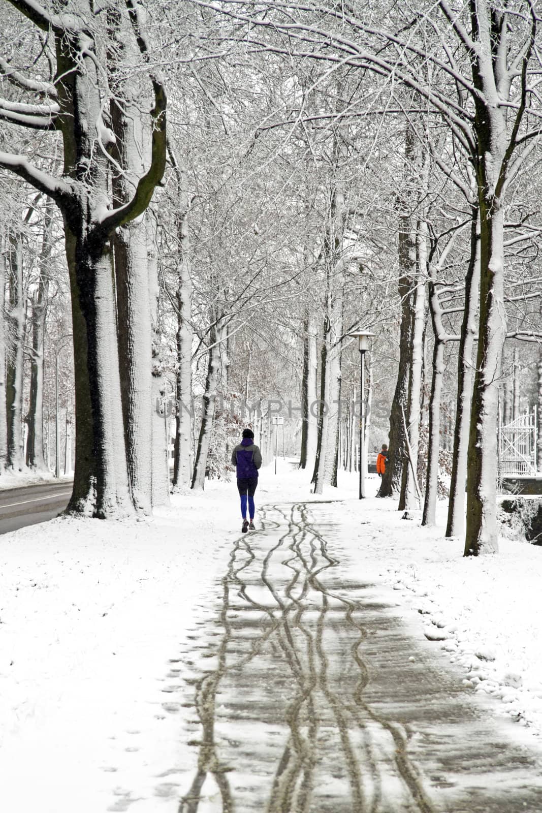 People jogging in winter in the forest from the Netherlands