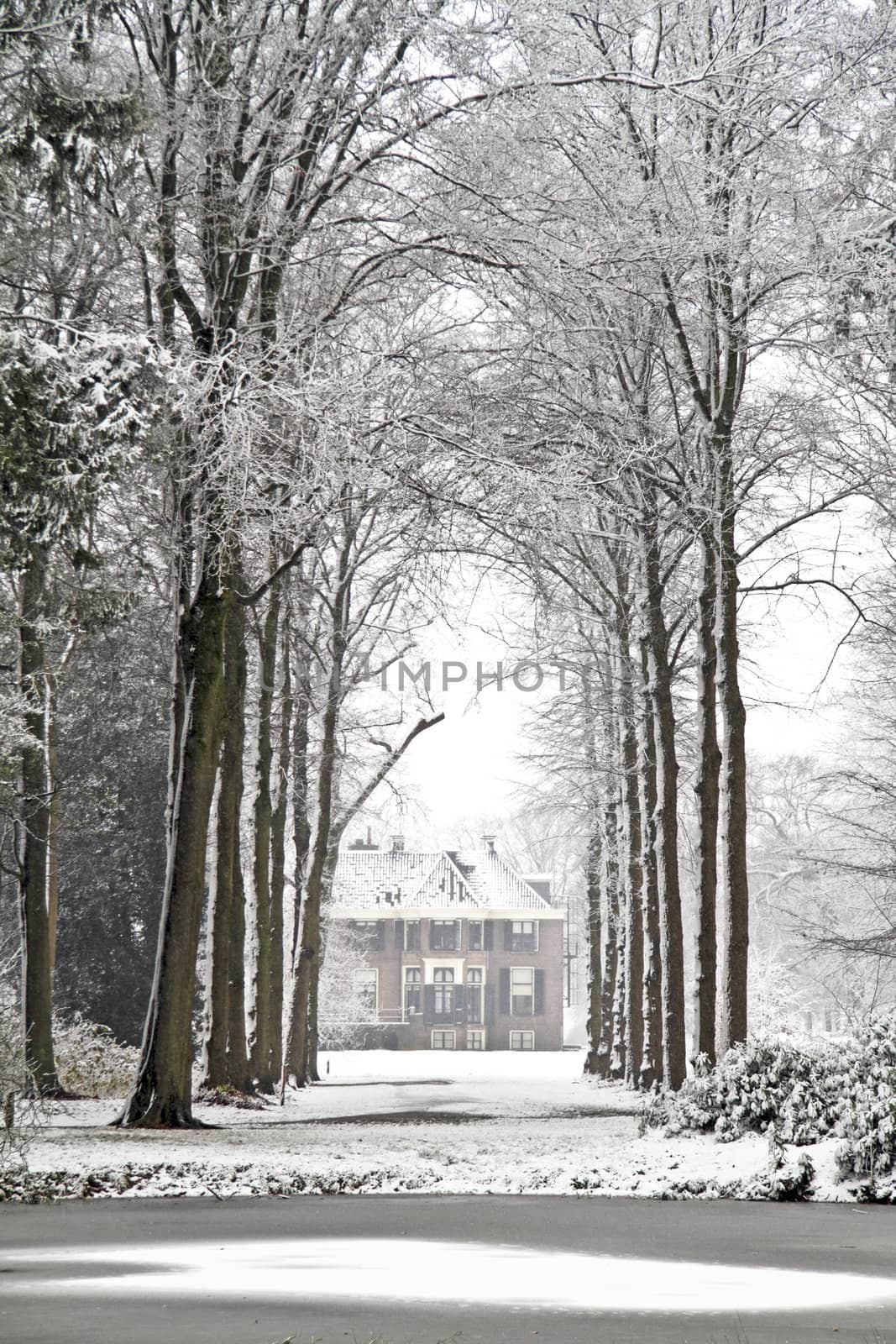 Medieval mansion in the woods in winter in the Netherlands