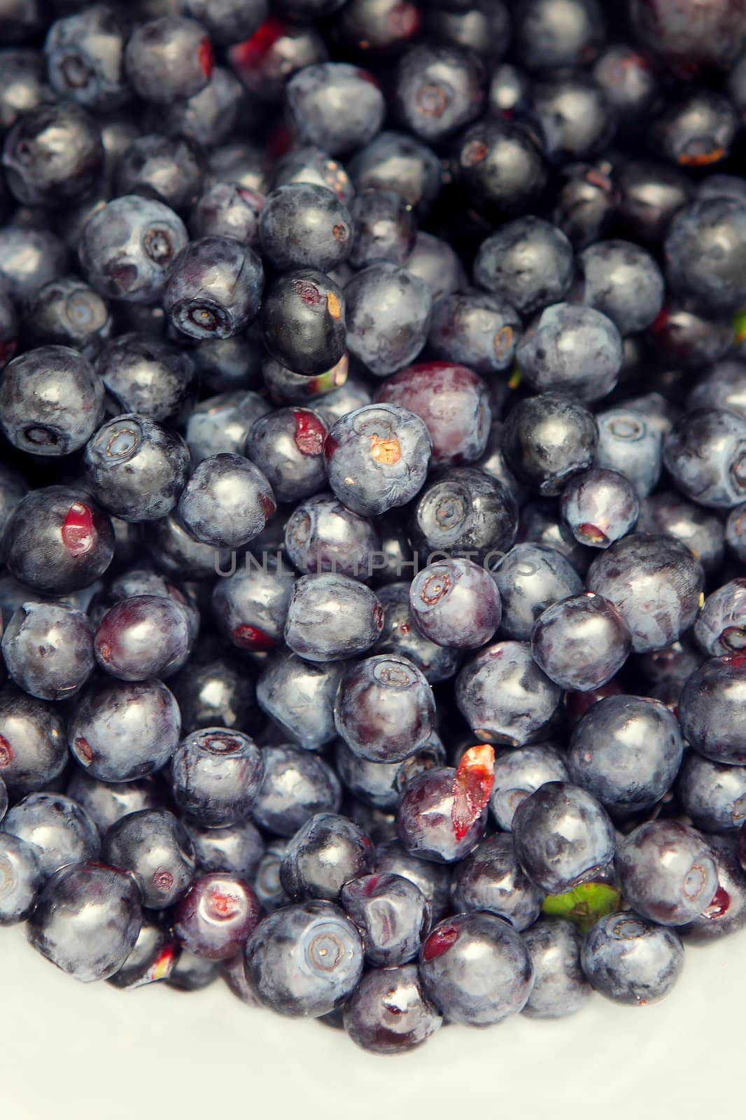 blueberry berry