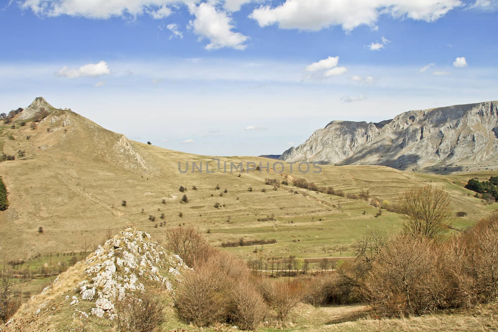 View of a valley in Trascau Mountains