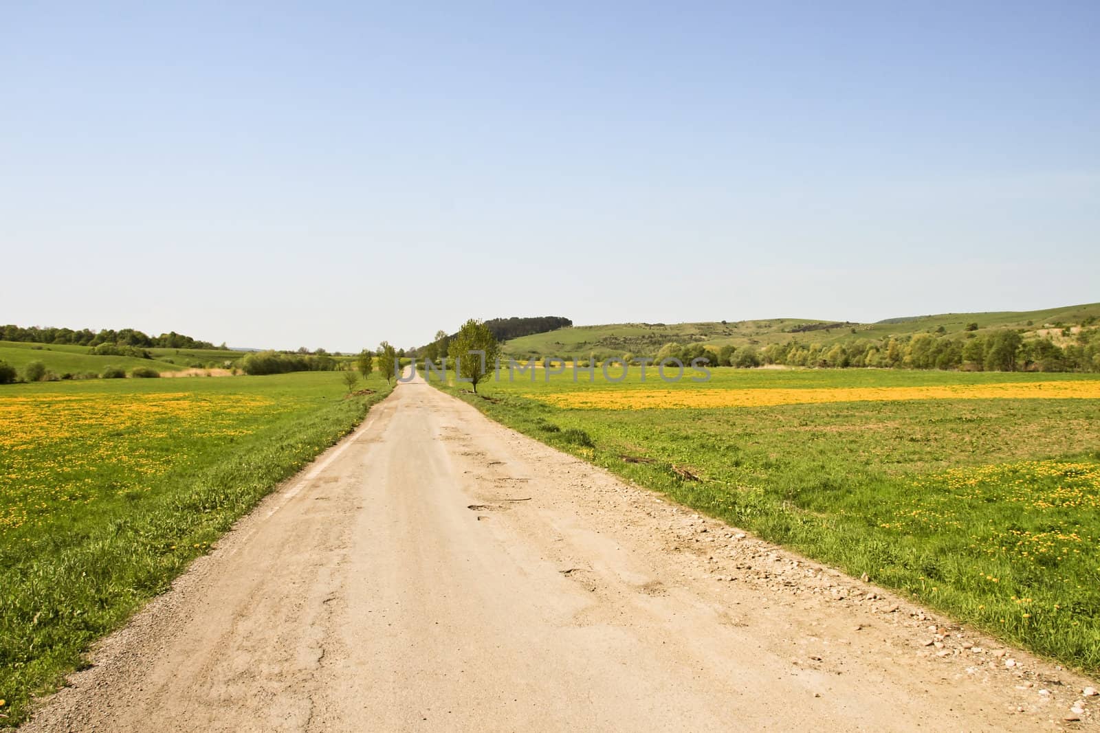 A field road leads on a meadow