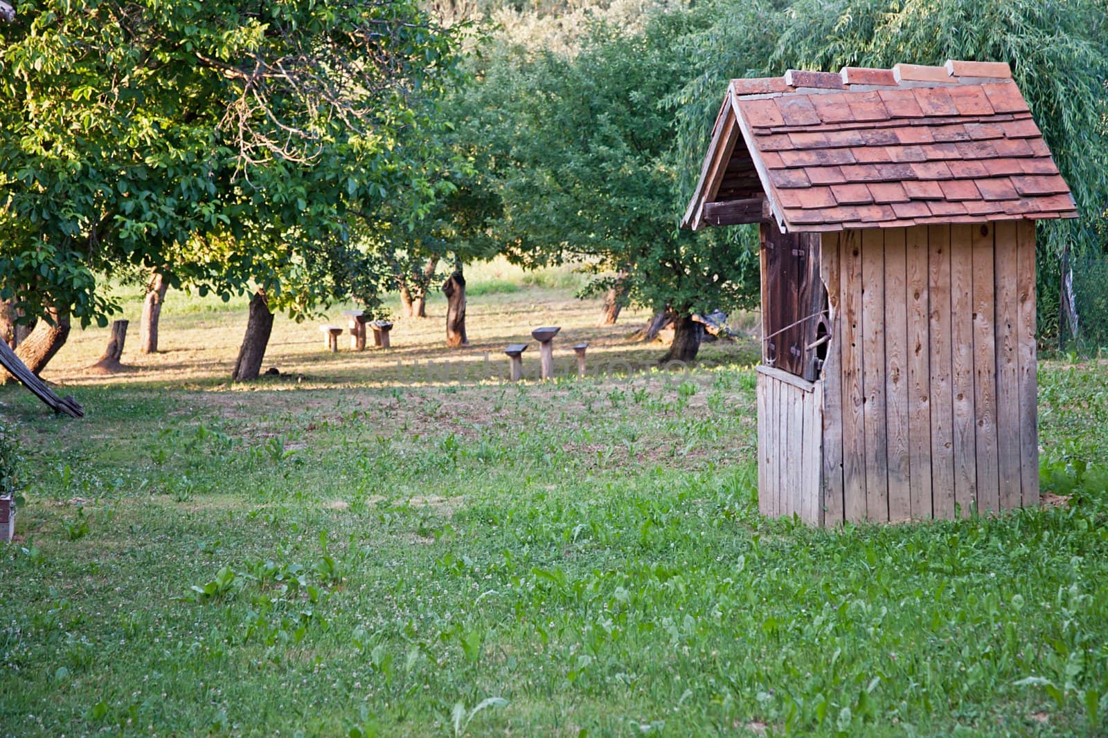 Abandoned wooden building near to a park