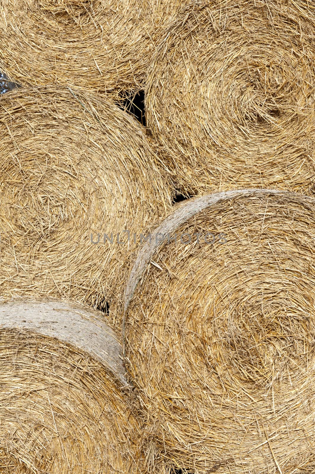 Straw bales by fyletto