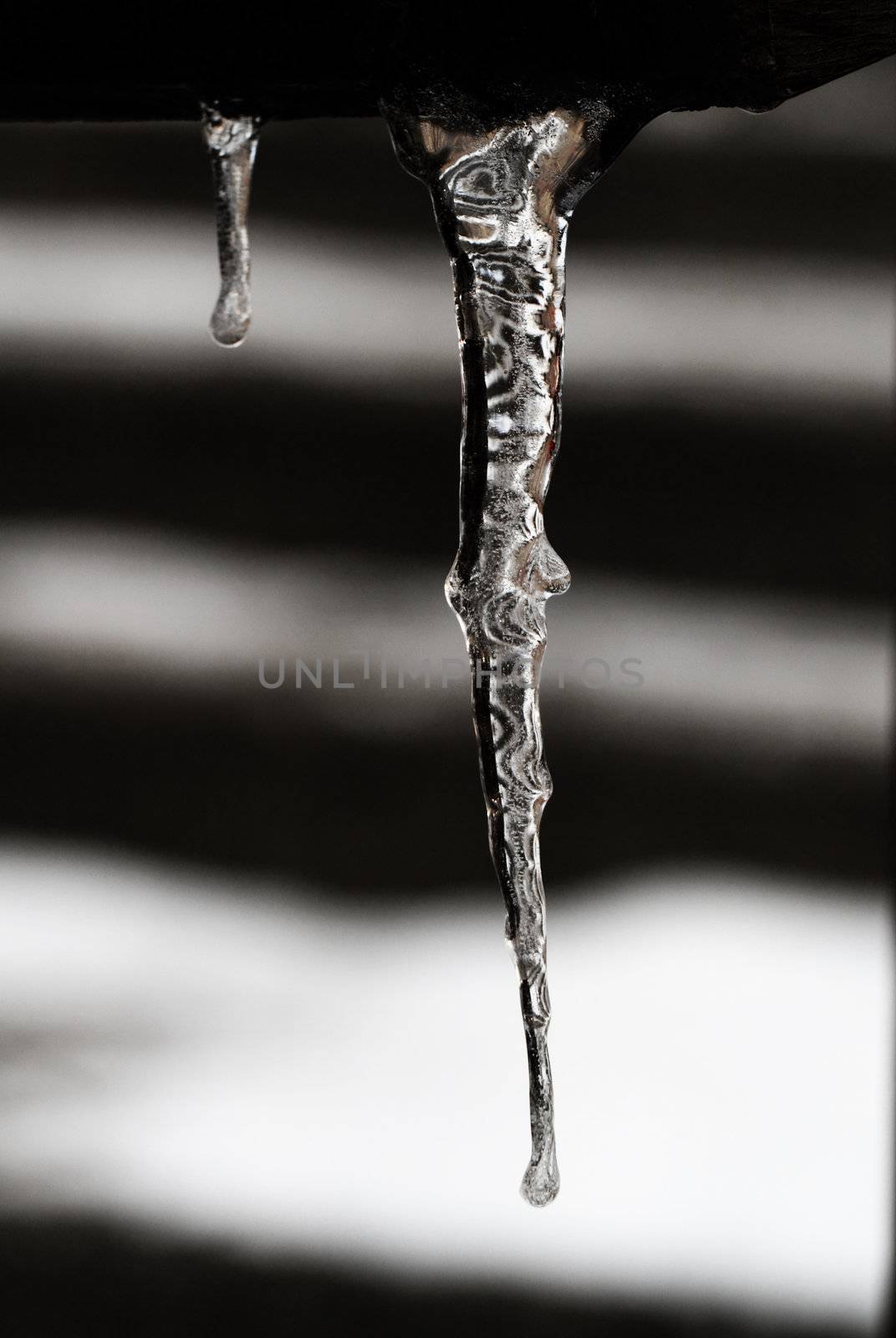 Row of long icicles on black and white background