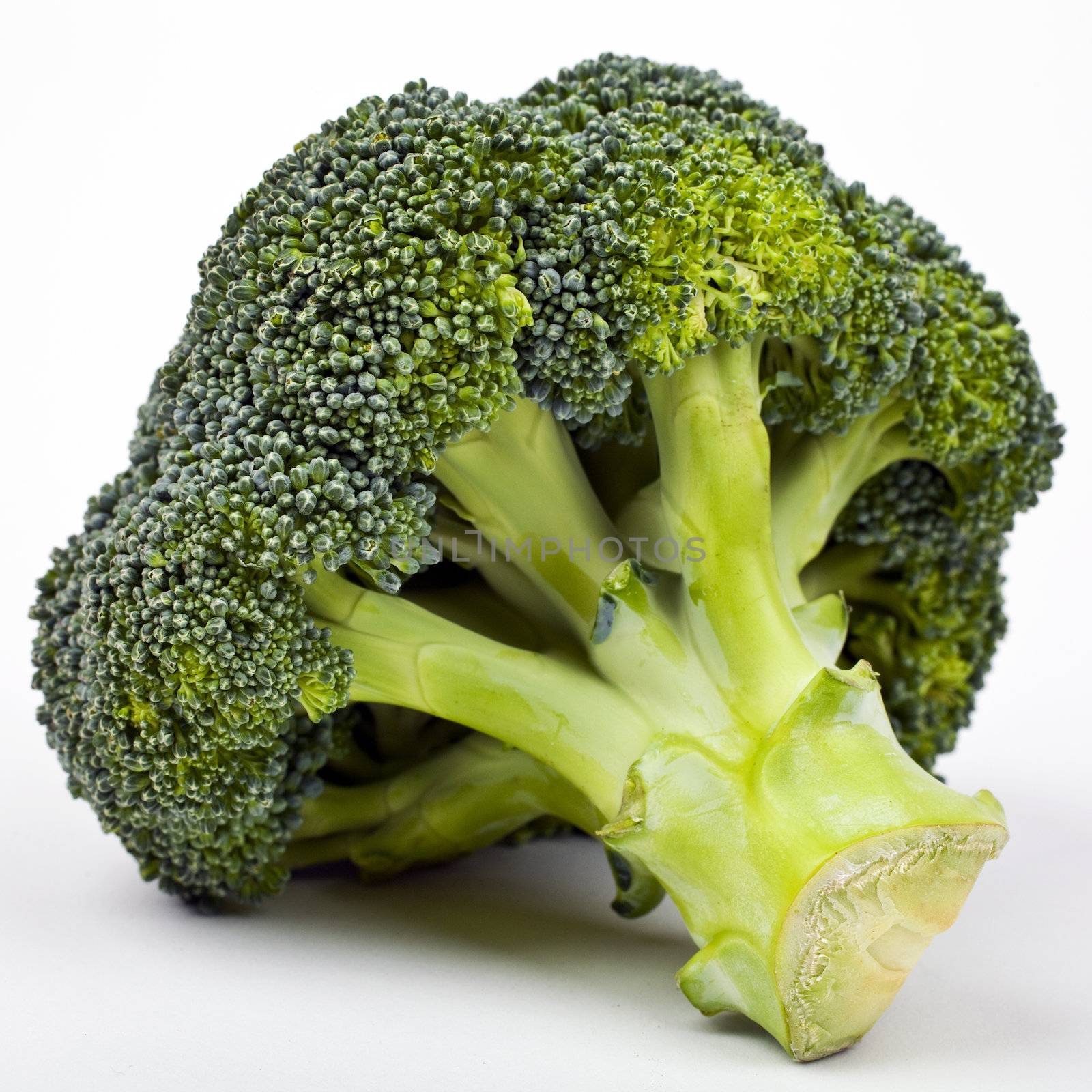 Broccoli by chrisdorney