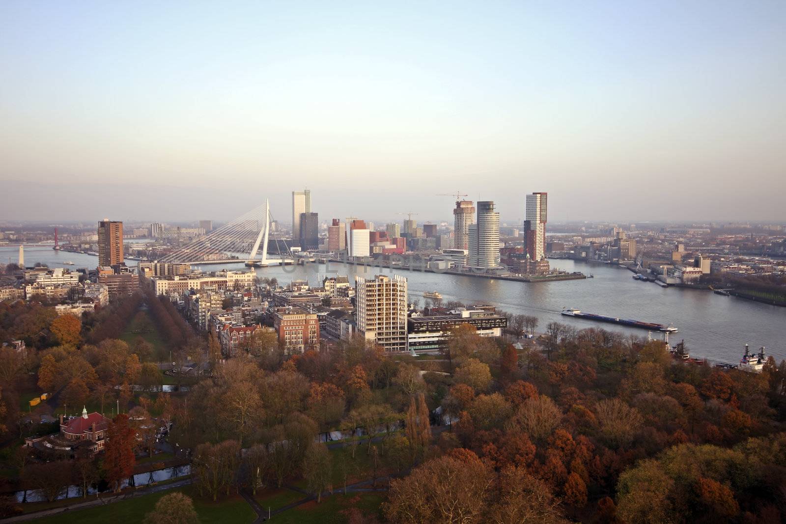 View on Rotterdam with the river Meuse in the Netherlands by devy