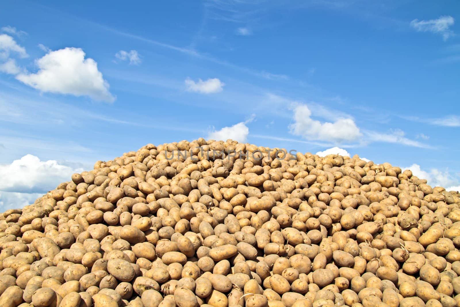 Pile of potatoes against a blue sky