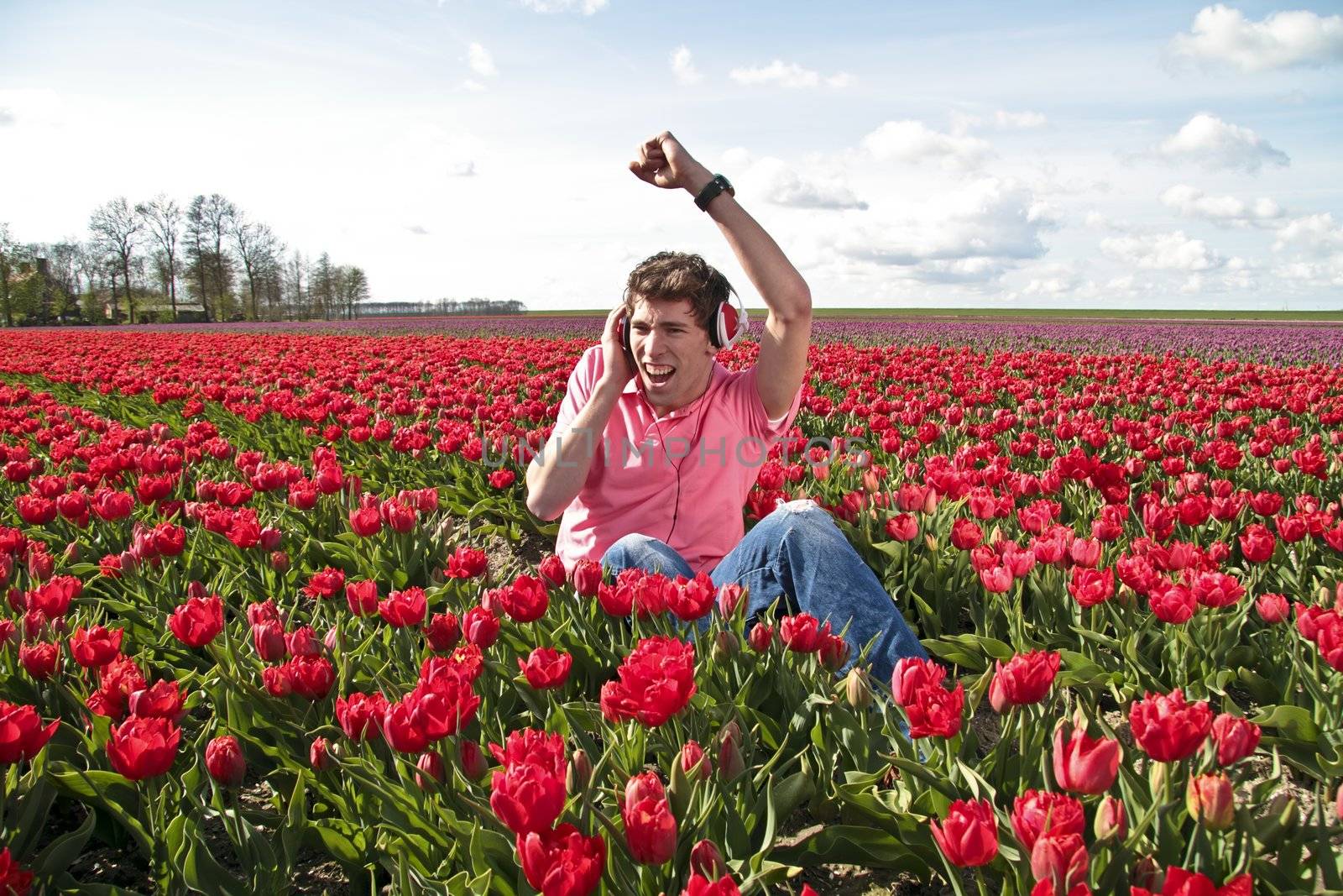 Young man listening to music in the tulip fields