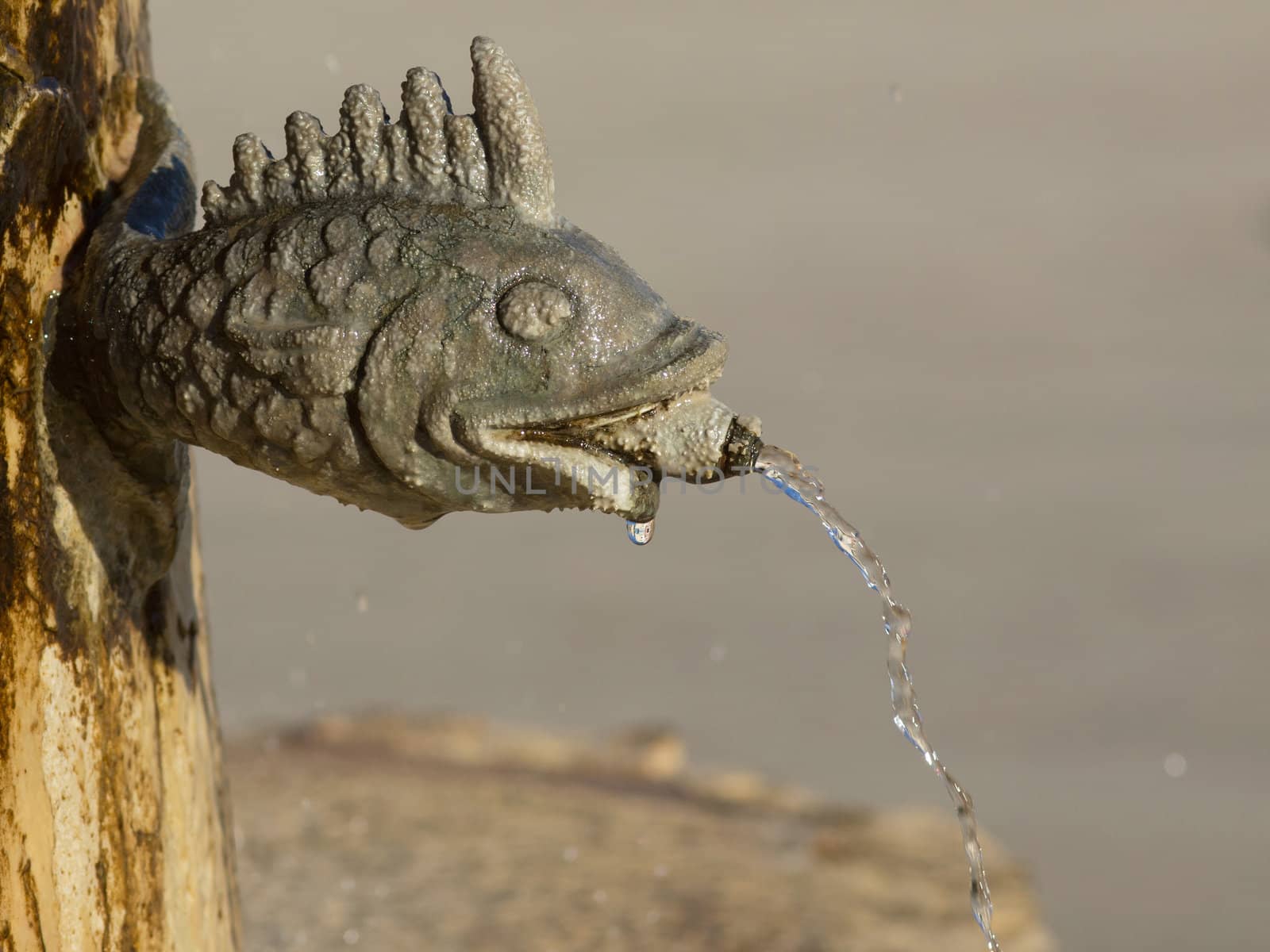 fish fountain by nevenm