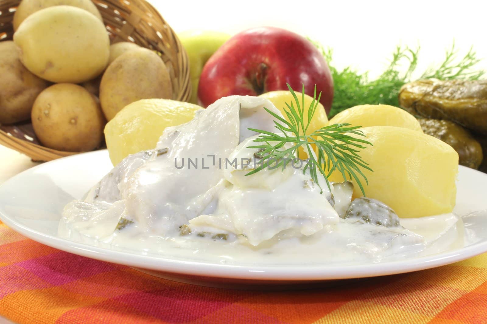 cream marinated herring by discovery