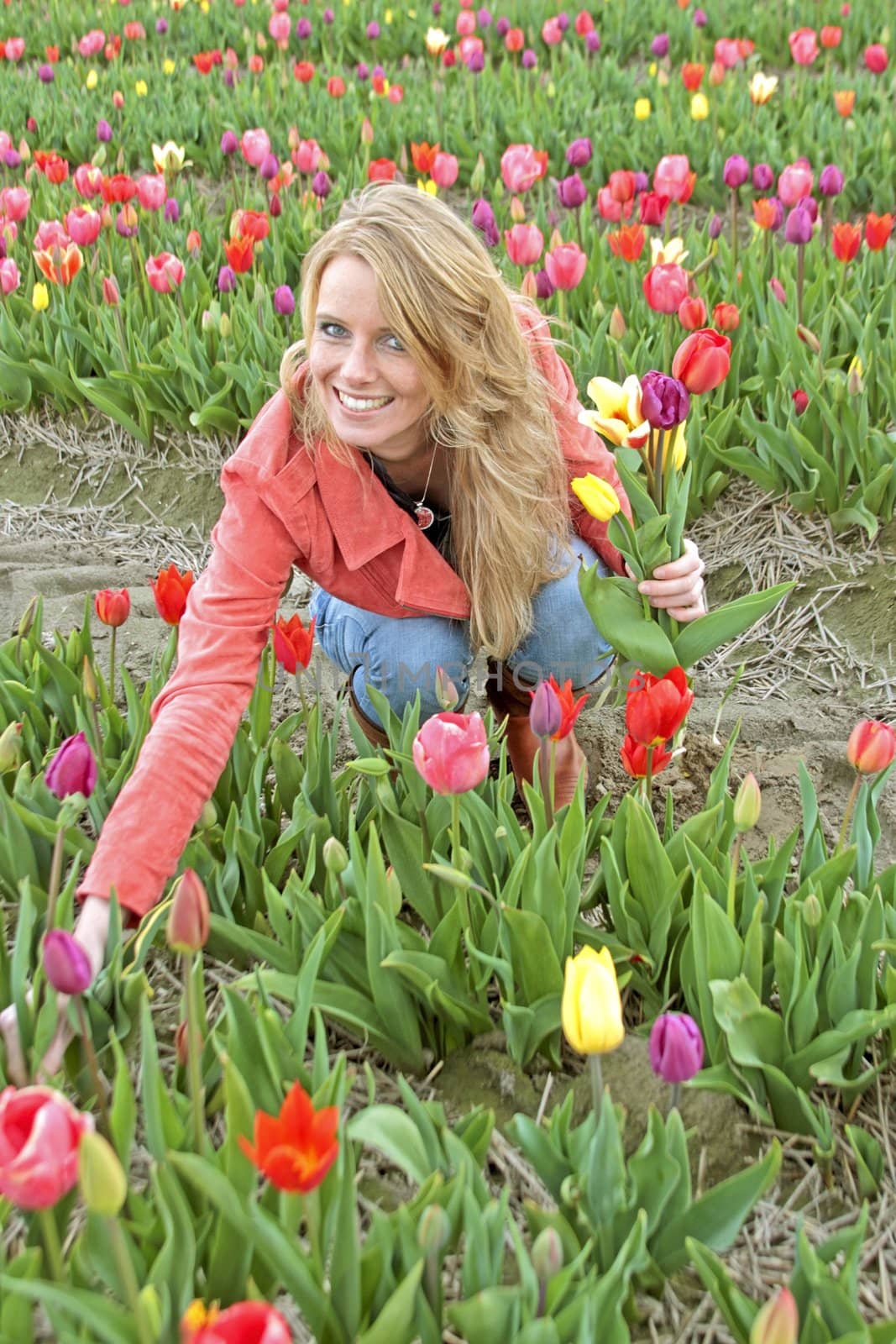 dutch woman between de flower fields in the Netherlands by devy