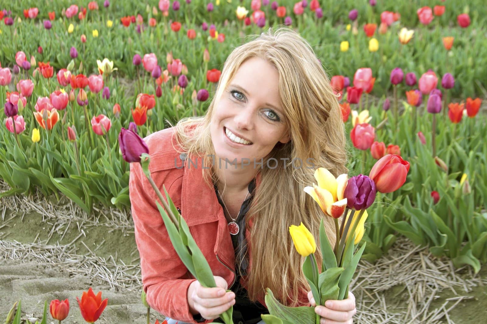 Dutch woman between the flower fields in the Netherlands