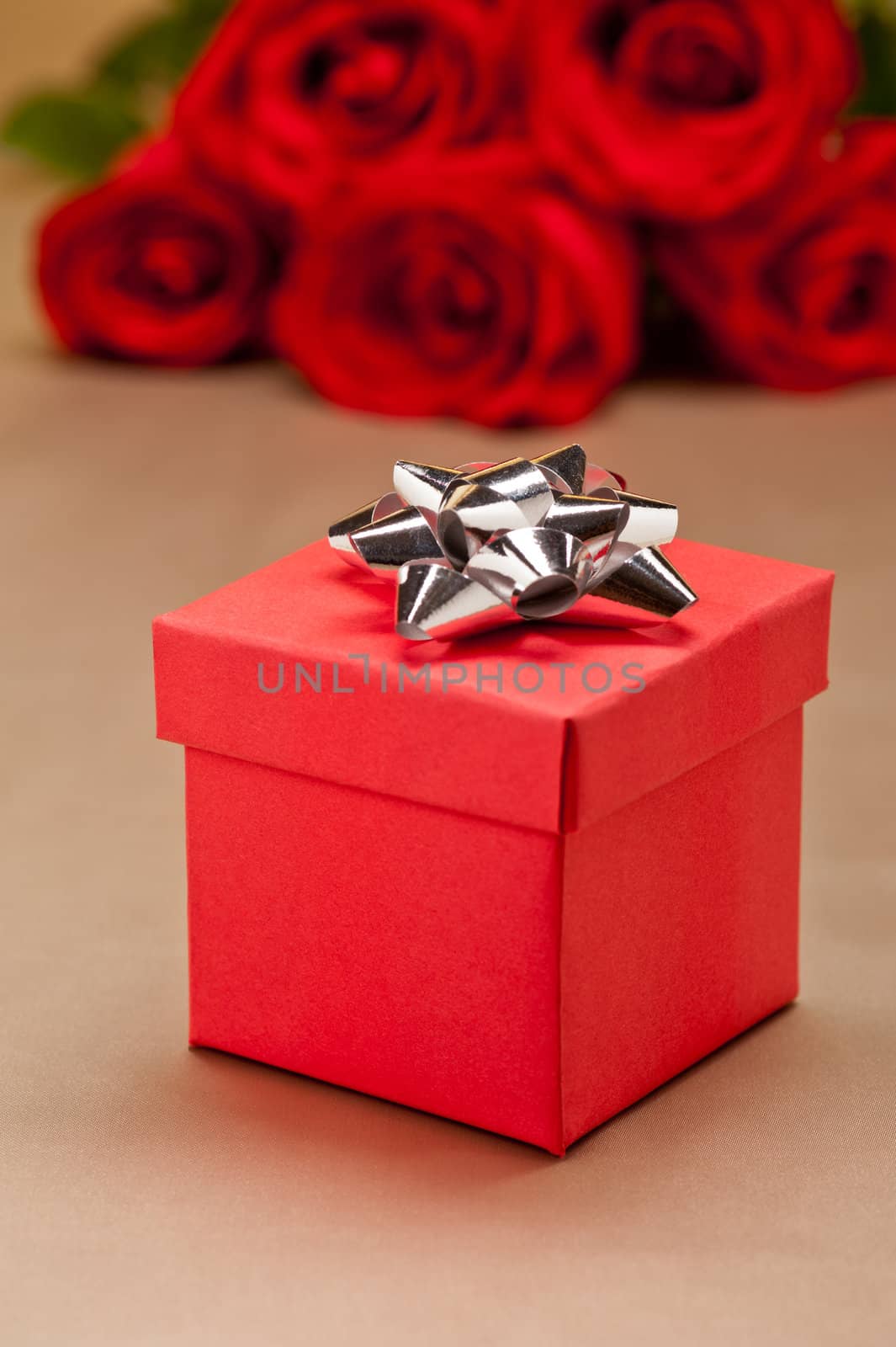 Present  and roses  by 3523Studio