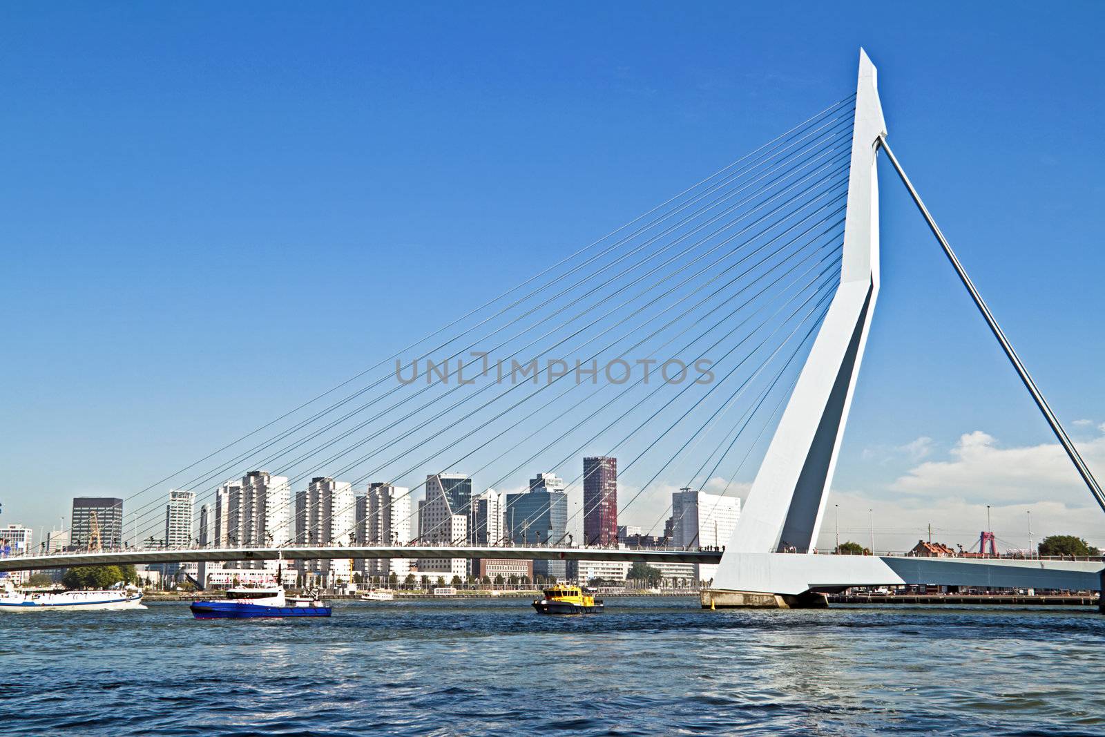 Erasmus bridge in Rotterdam harbor the Netherlands
