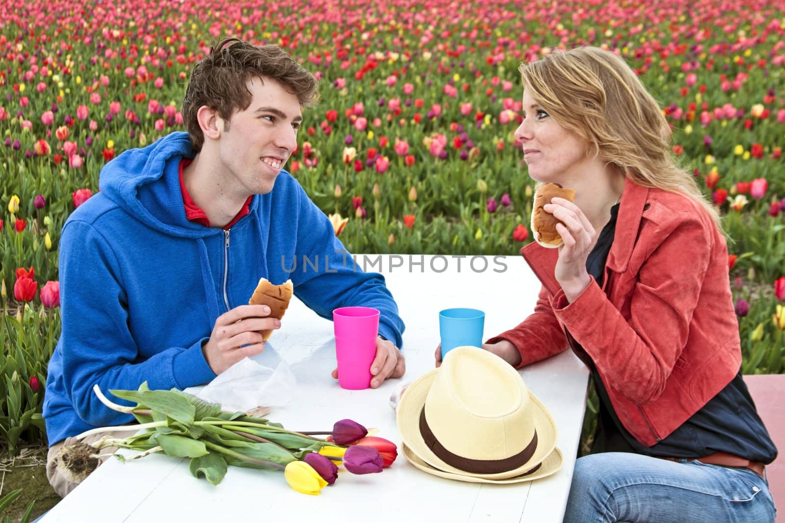 Young couple taking lunch between the tulips in the Netherlands