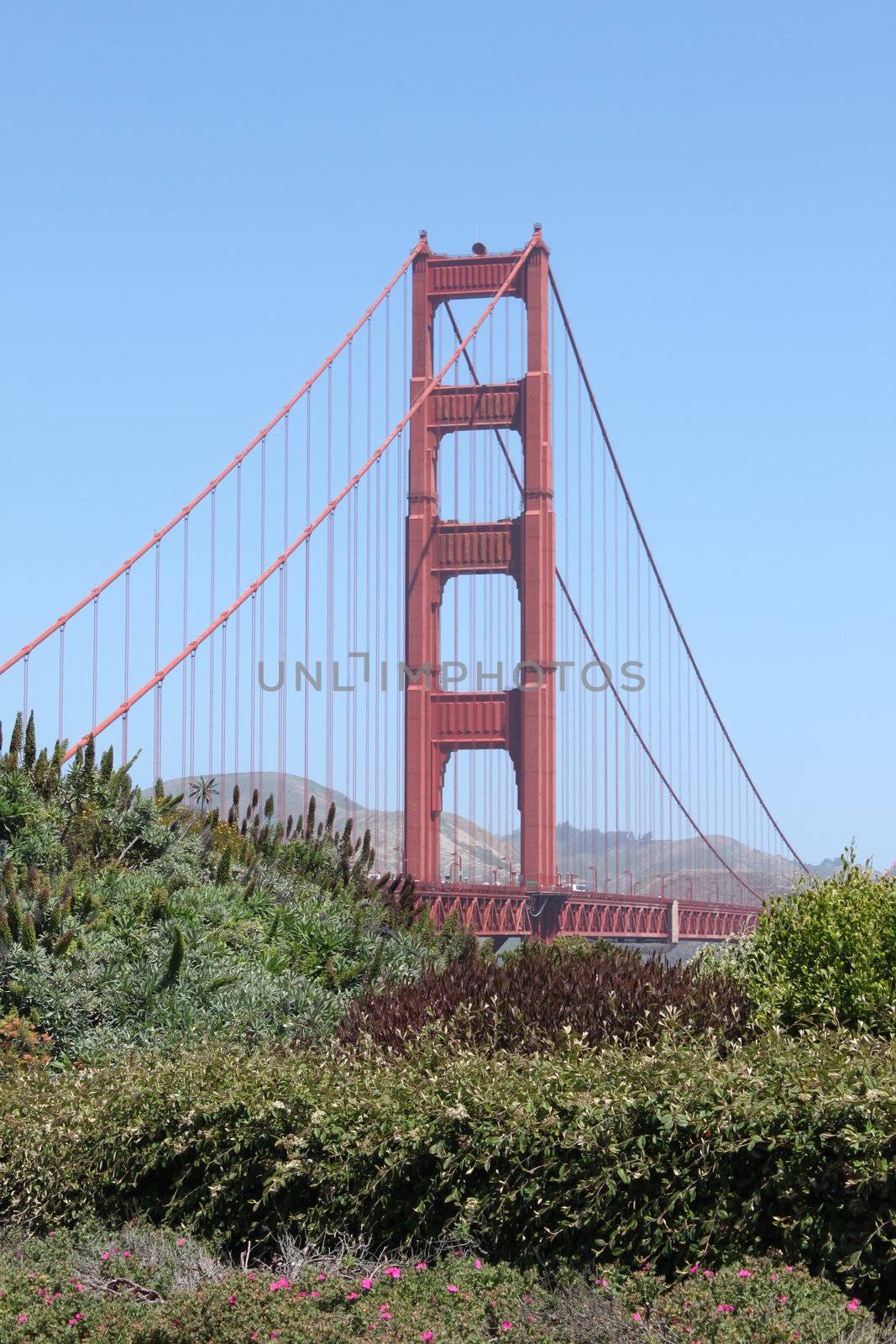 View of the Golden Gate bridge in San Francisco, California.