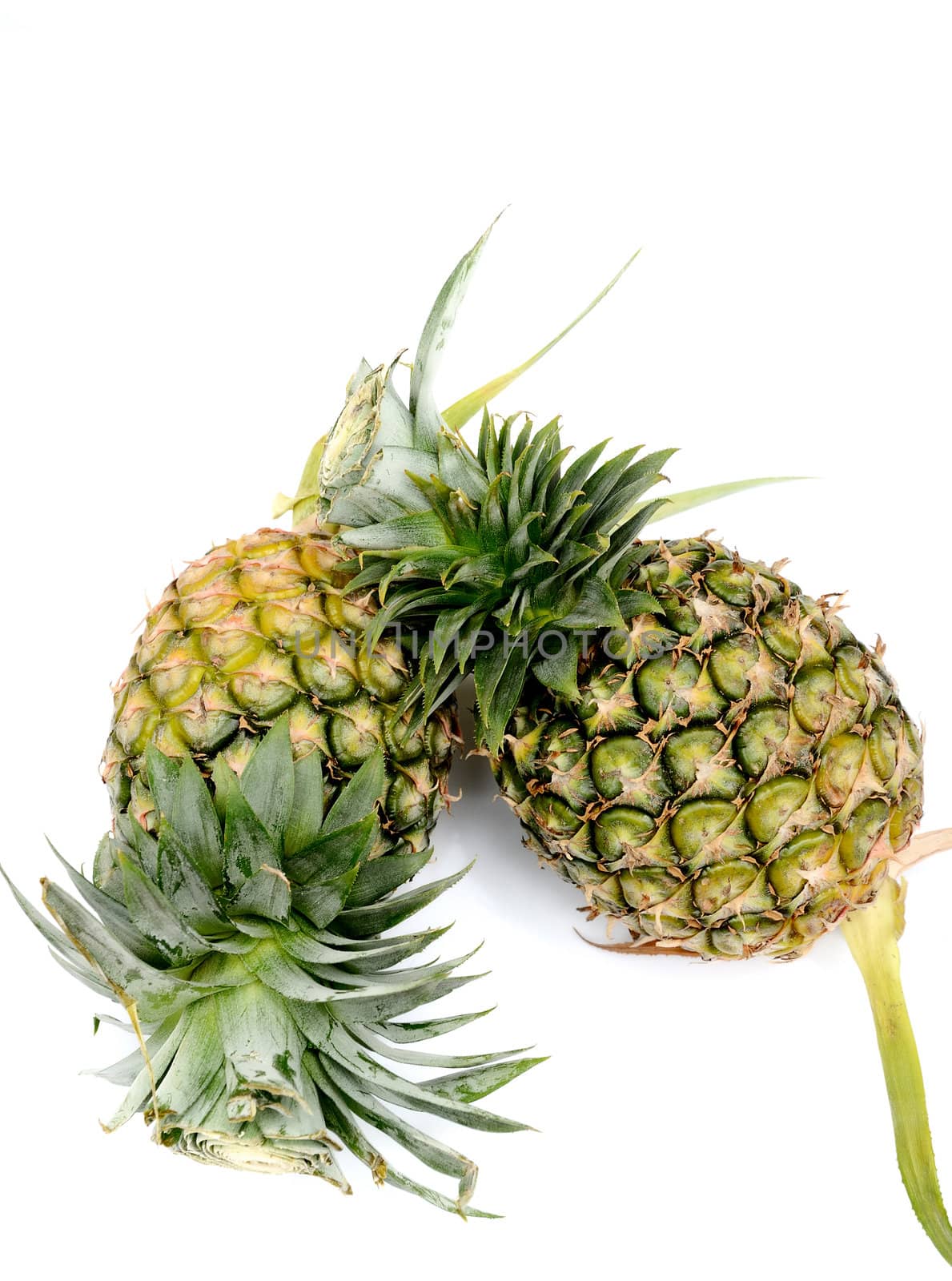 Pineapple on white background