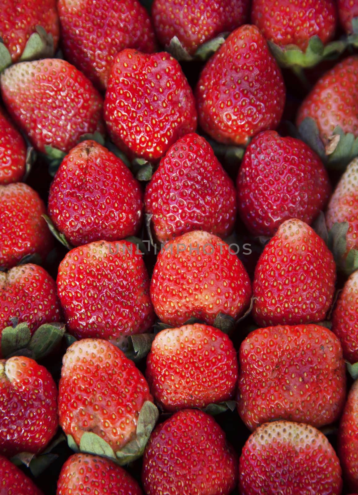 Row of strawberries on sale at market