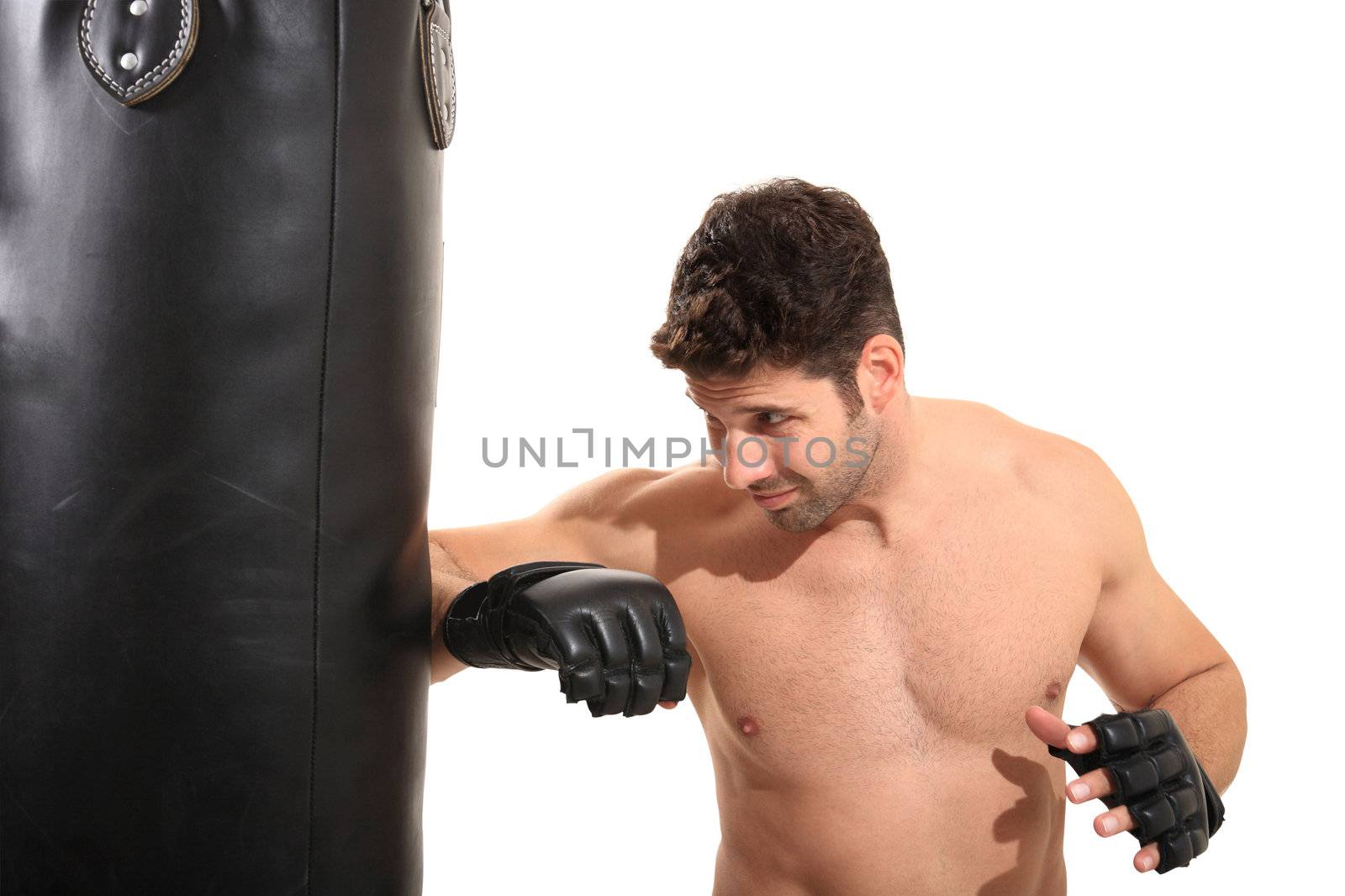 young boxer exercising isolated on a white background