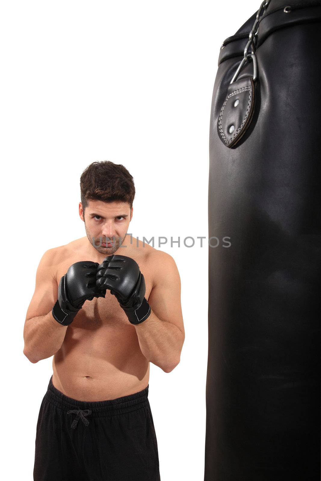 young boxer exercising isolated on a white background