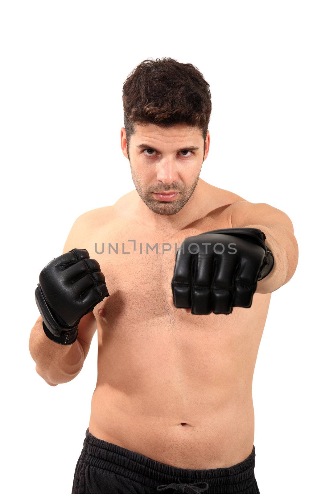 young boxer exercising isolated on a white background