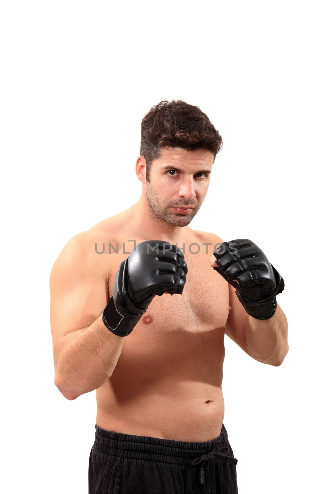 young boxer exercising isolated on a white background