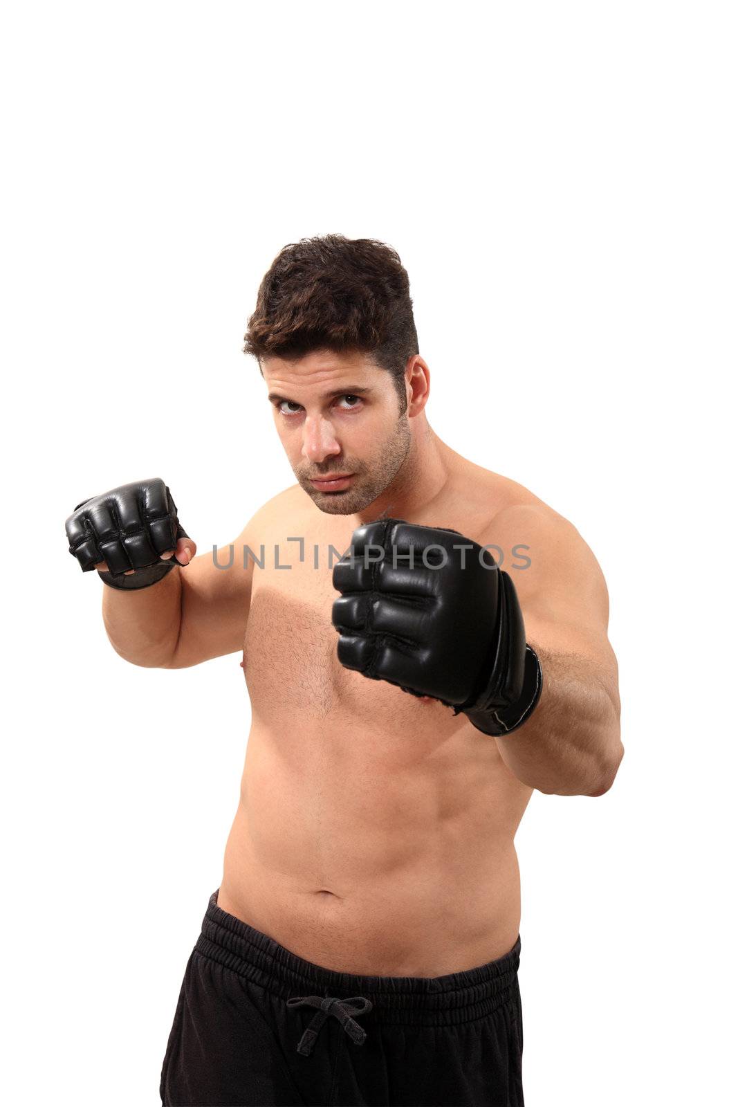 young boxer exercising isolated on a white background