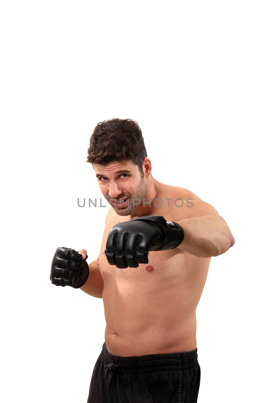 young boxer exercising isolated on a white background