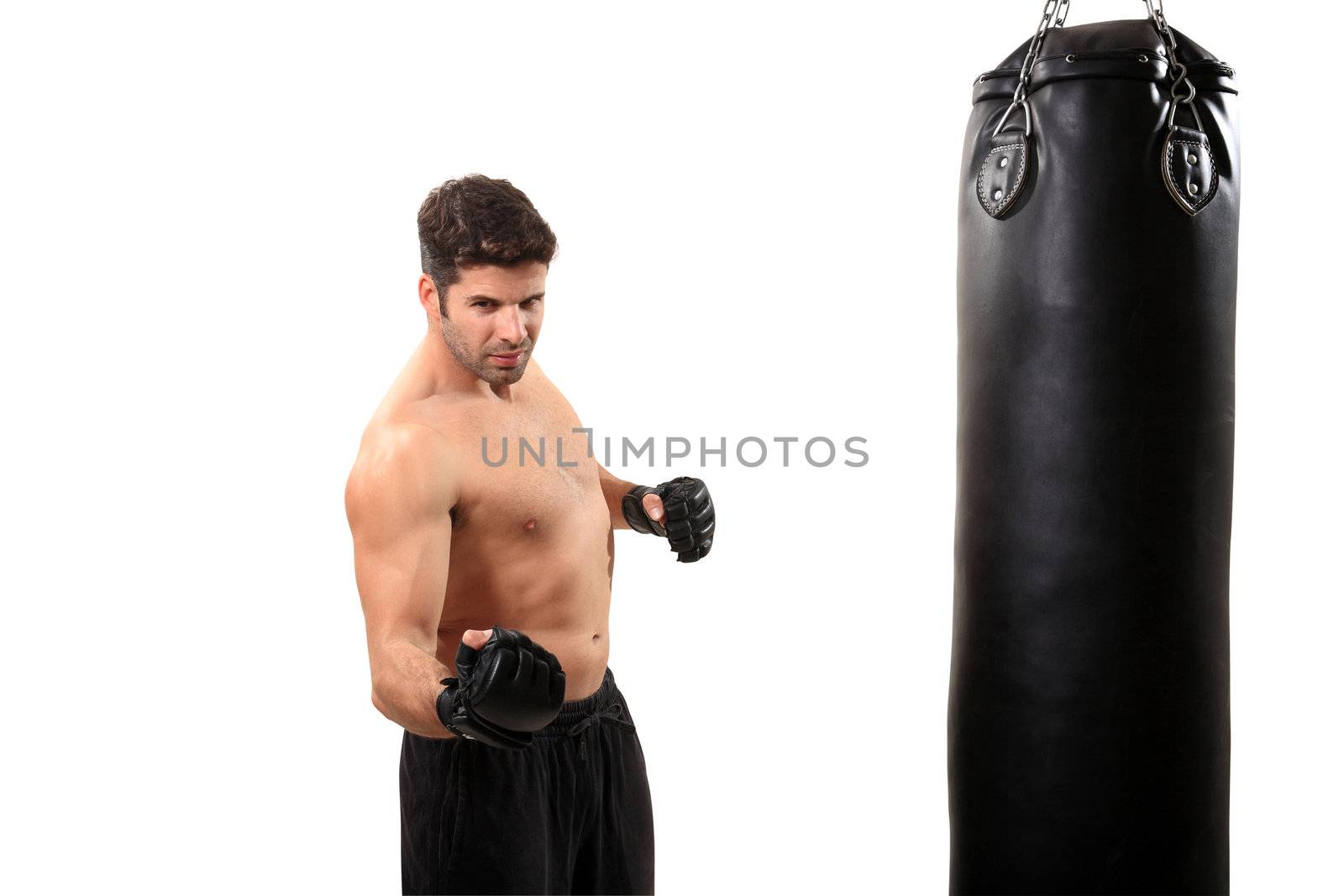 young boxer exercising isolated on a white background