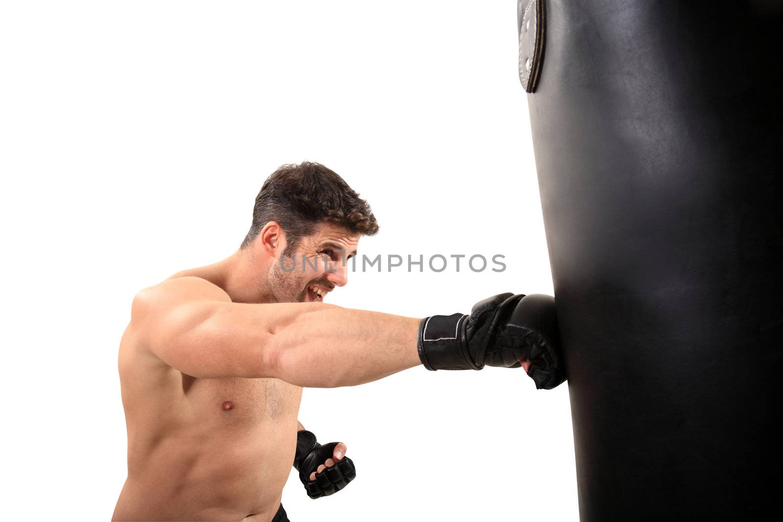 young boxer exercising isolated on a white background