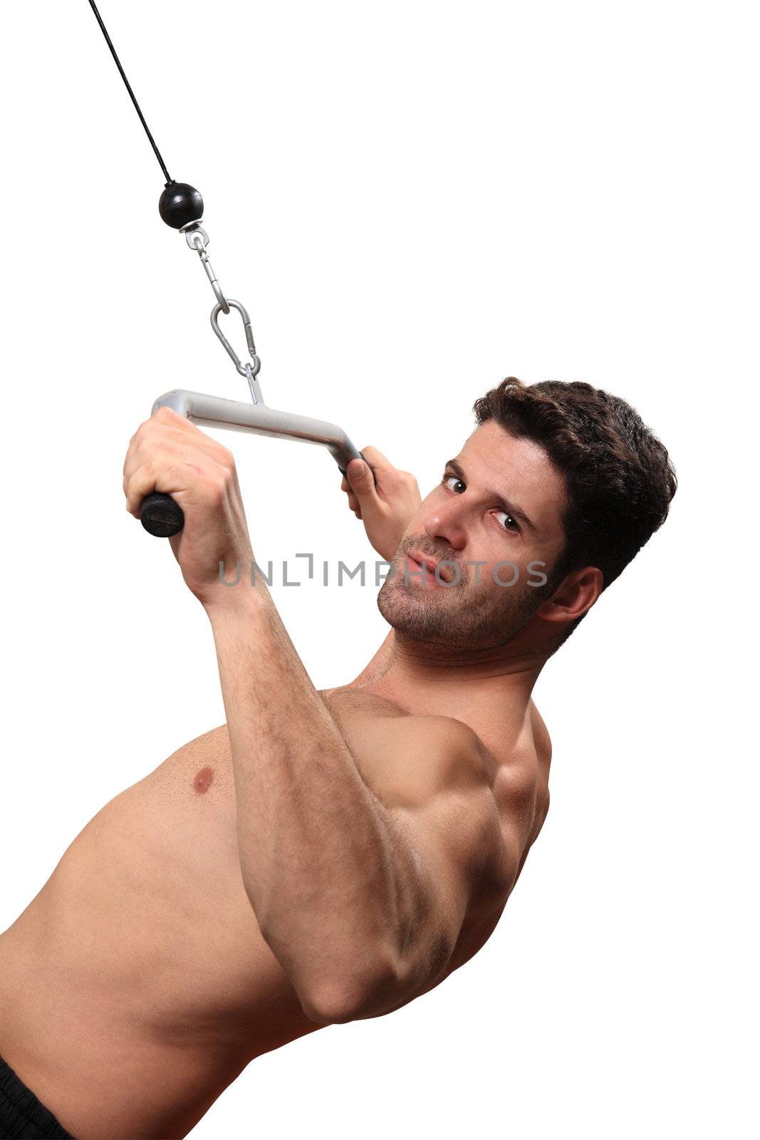 body builder workout isolated on a white background