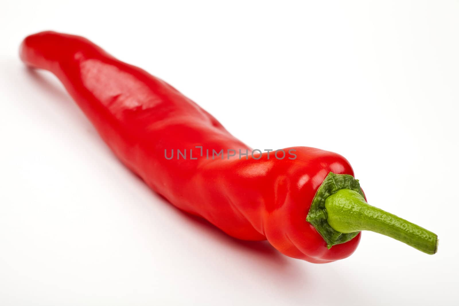 A red Chili Pepper on a white background.