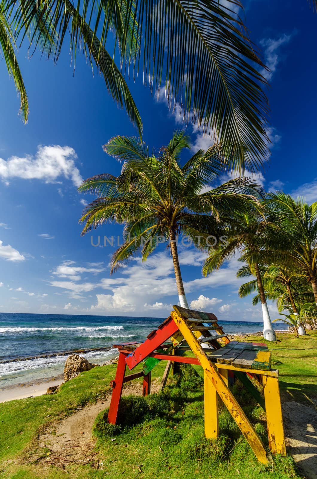 A colorful bench and palm trees in San Andres, Colombia