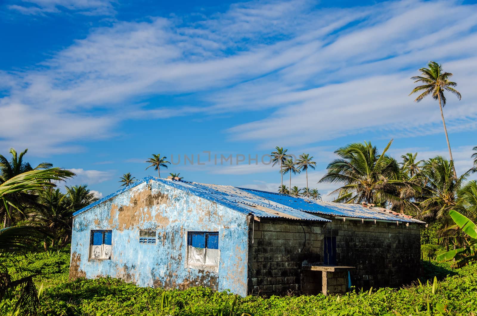 Old blue building in clearing wth palm trees in San Andres, Colombia
